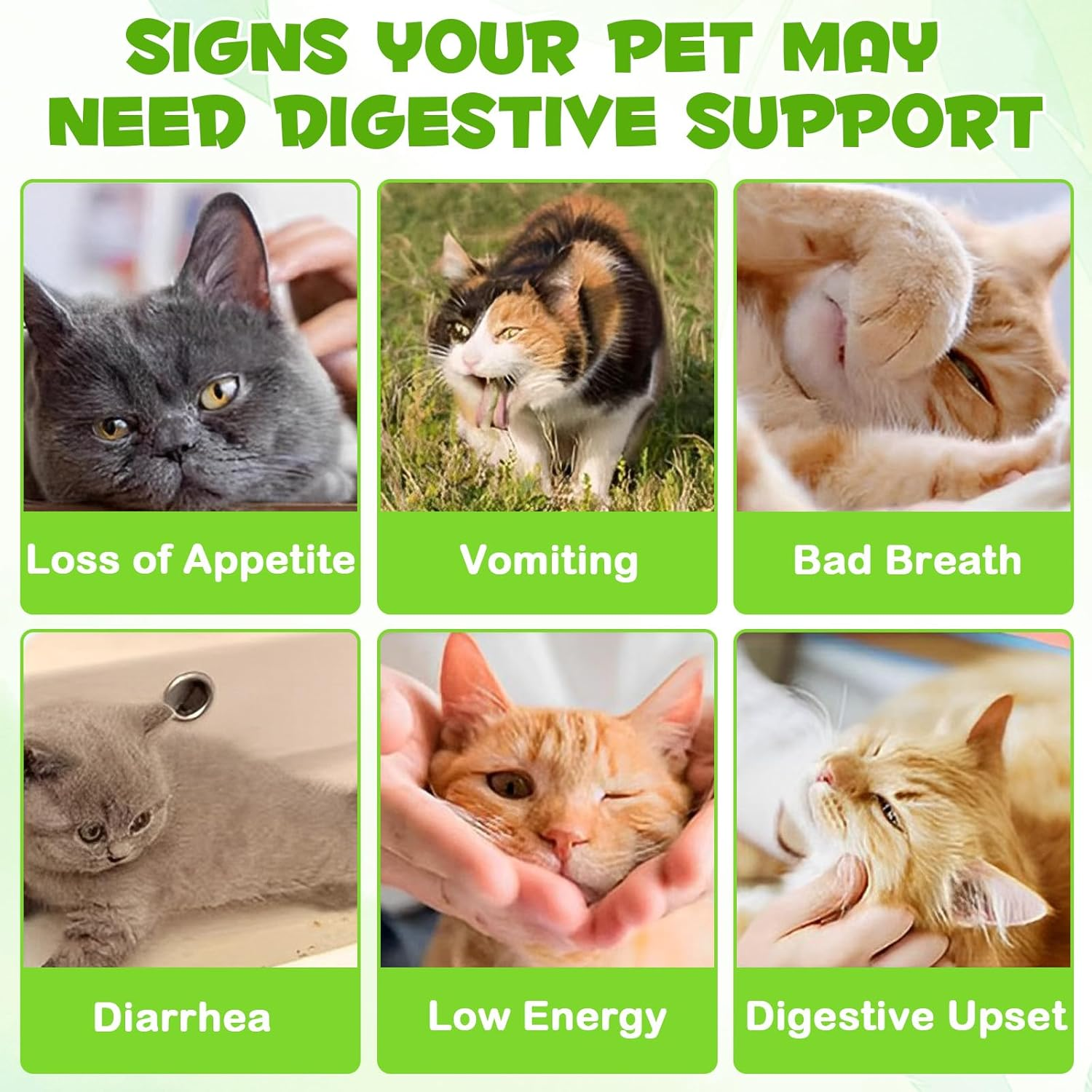 Probiotic for Cats, Natural Pet Probiotic, Pet Supplements, Supports Gut Health, Liquid Probiotic - 60 Ml / 2 Fl.Oz image number 3