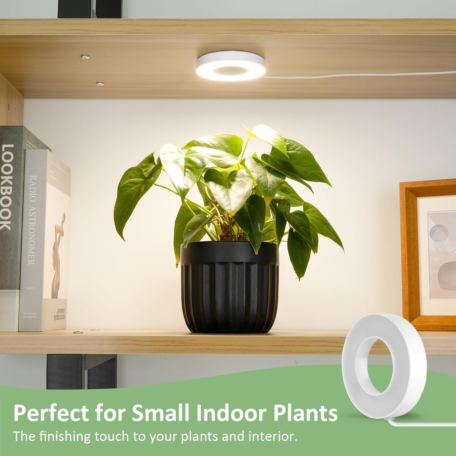 LED Grow Light for Indoor Plants, Ceiling LED Halo Plant Light Full Spectrum, 3/9/12H Timer, 4 Brightness Levels, 5V Growing Lamp Growing Lamp,Ideal for Small Plants (3-In-1) image number 2