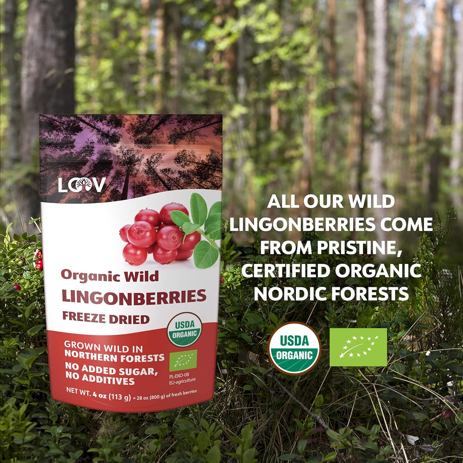 LOOV Freeze Dried Organic Wild Lingonberries, No Sugar Added, 100% Dried Whole Fruit Lingonberries, Wild-Crafted from Northern European Forests, 113 G, 23-Day Supply, Non-Gmo image number 3