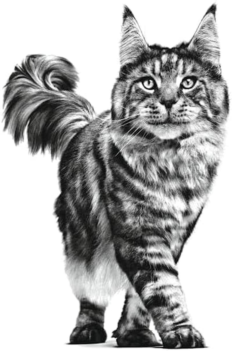 Royal Canin Veterinary Diet Urinary so Moderate Calorie Cat Food 12X85G image number 3