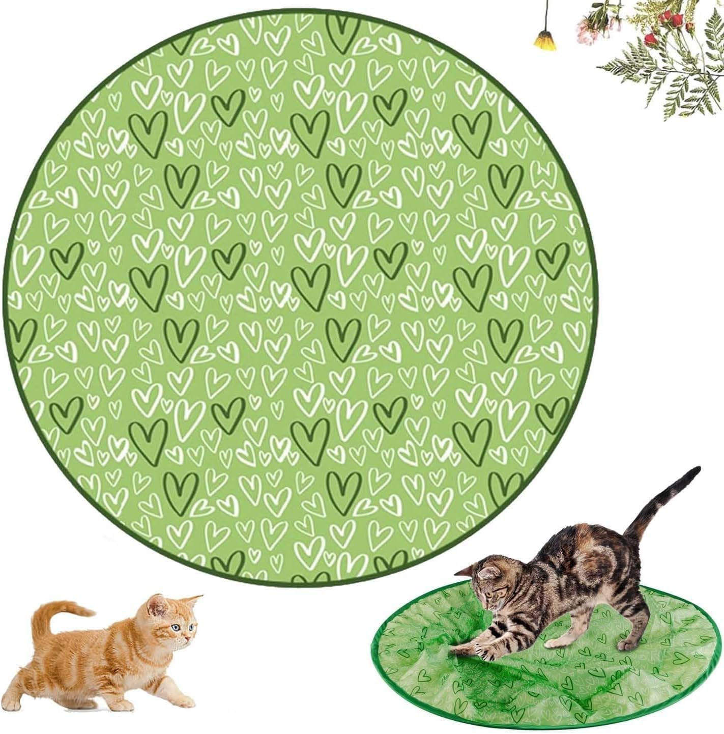 Shengruili Interactive Cat Toy Mat, Cat Play Mat, Cat Play Mat, Cat Toy Cat Mat, Hunting Cat Mat Toy, Interactive Training Mat for Stimulates Hunting Instinct image number 1