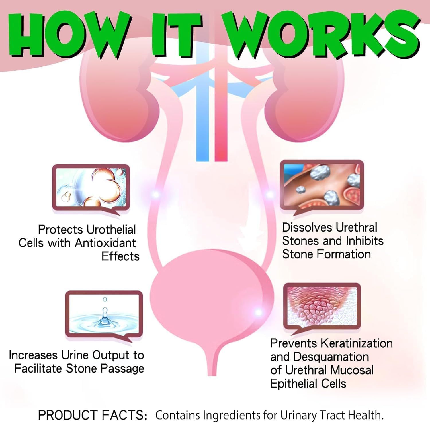 Urinary Tract Support for Cats 60Ml | Natural Liquid Supplement for Urinary Health & Comfort | Supports Bladder Function & Kidney Health | Easy-To-Use Drops image number 3