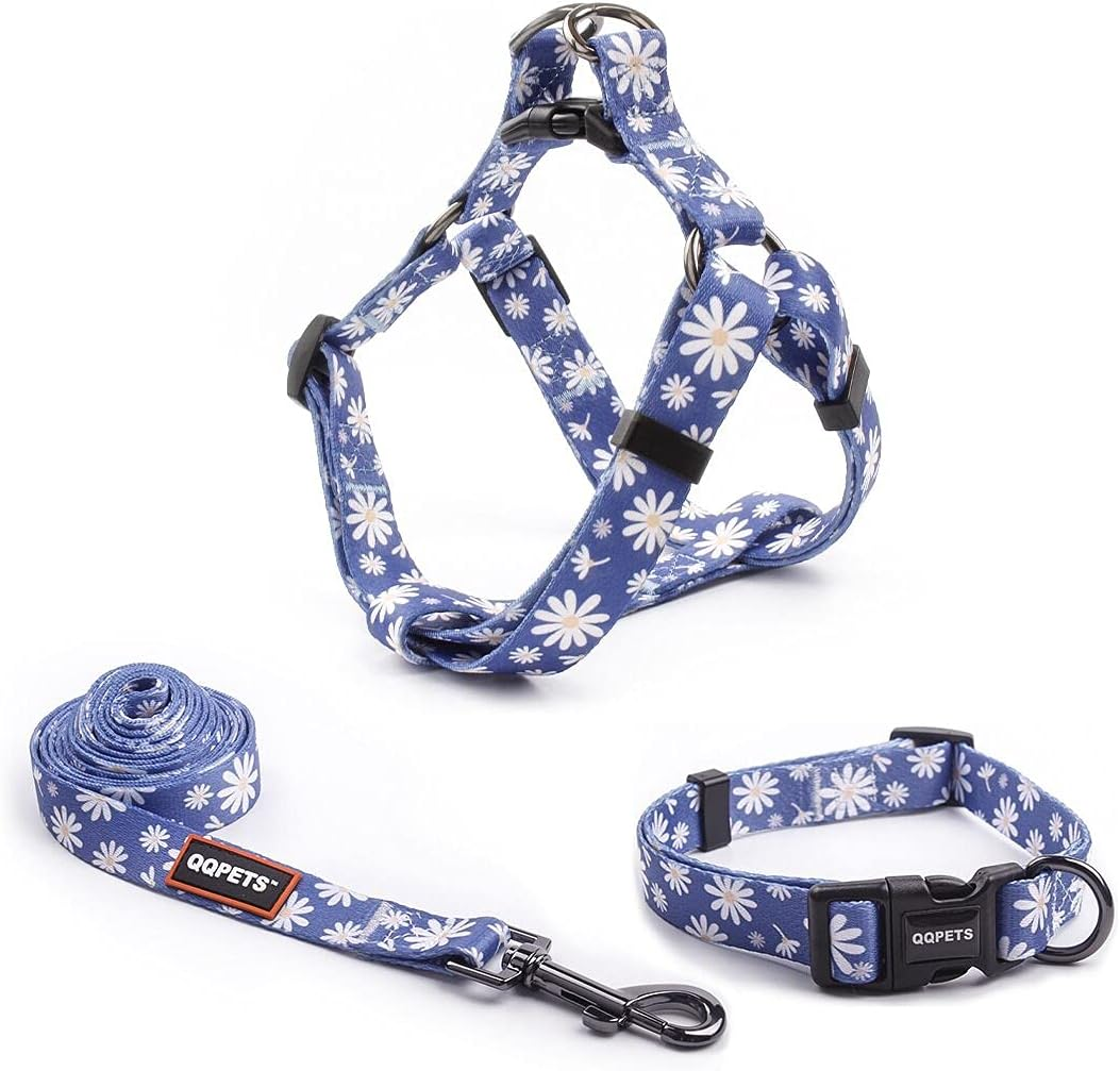 Dog Harness Collar Leash Set - No Pull Pet Adjustable Back Clip Halter Basic Collar Heavy Duty 5FT Anti-Twist Leash for Extra Small Puppy Medium Large Breed Training Running (Daisy, S) image number 5