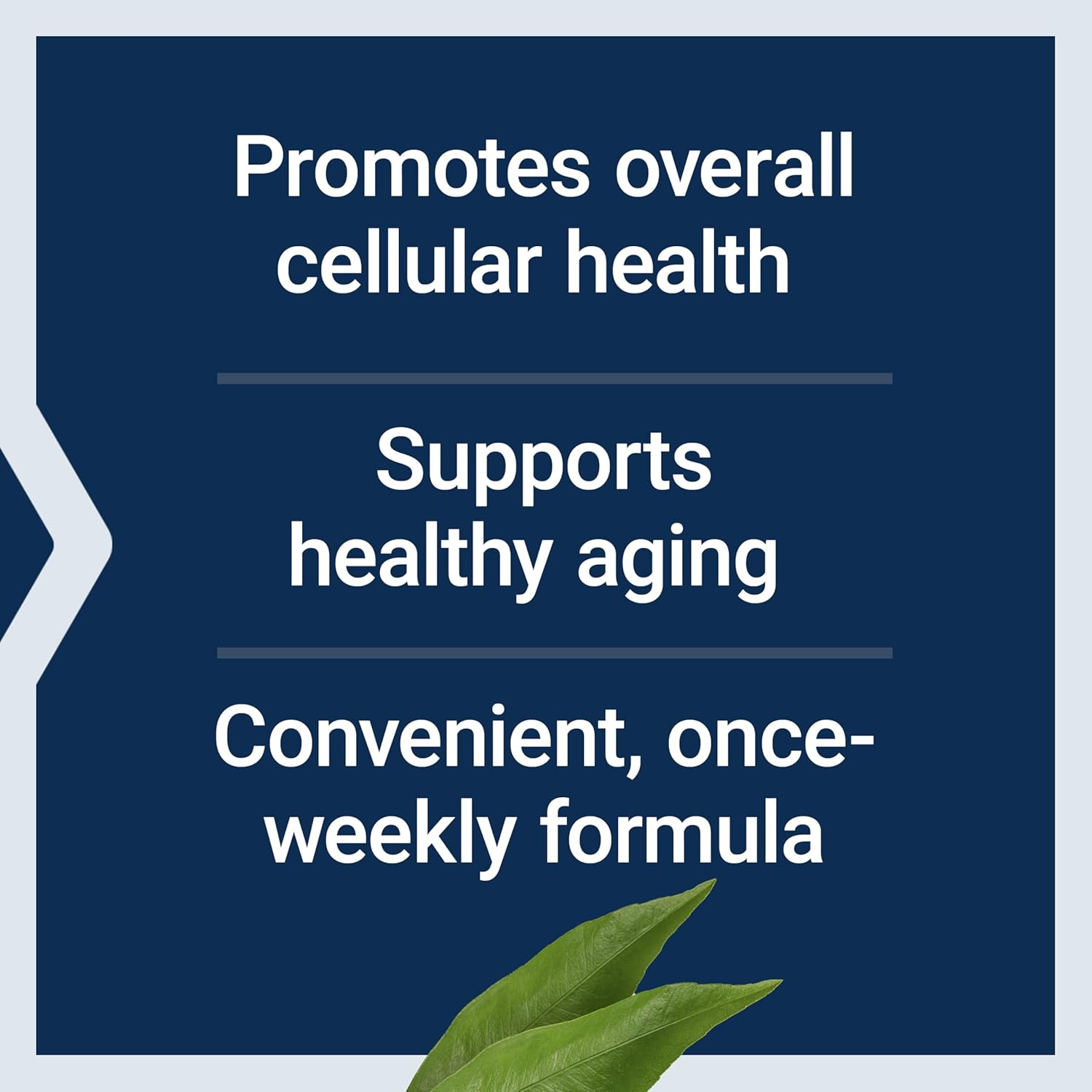 Life Extension Senolytic Formula, 24 Capsules