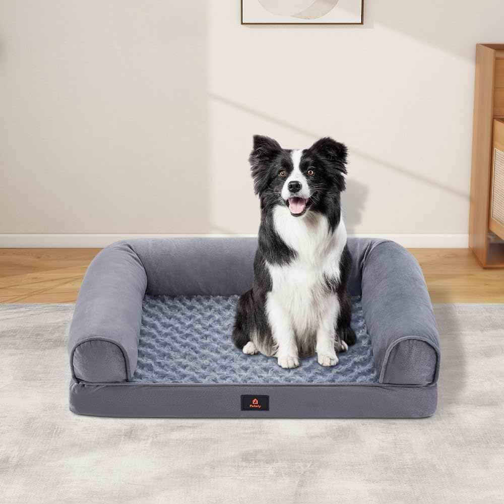 Petzly Orthopedic Memory Foam Dog Bed for Medium Dogs, Removable and Washable Cover, Non-Slip Bottom with Egg-Crate Foam, Medium Pet Couch Bed, White