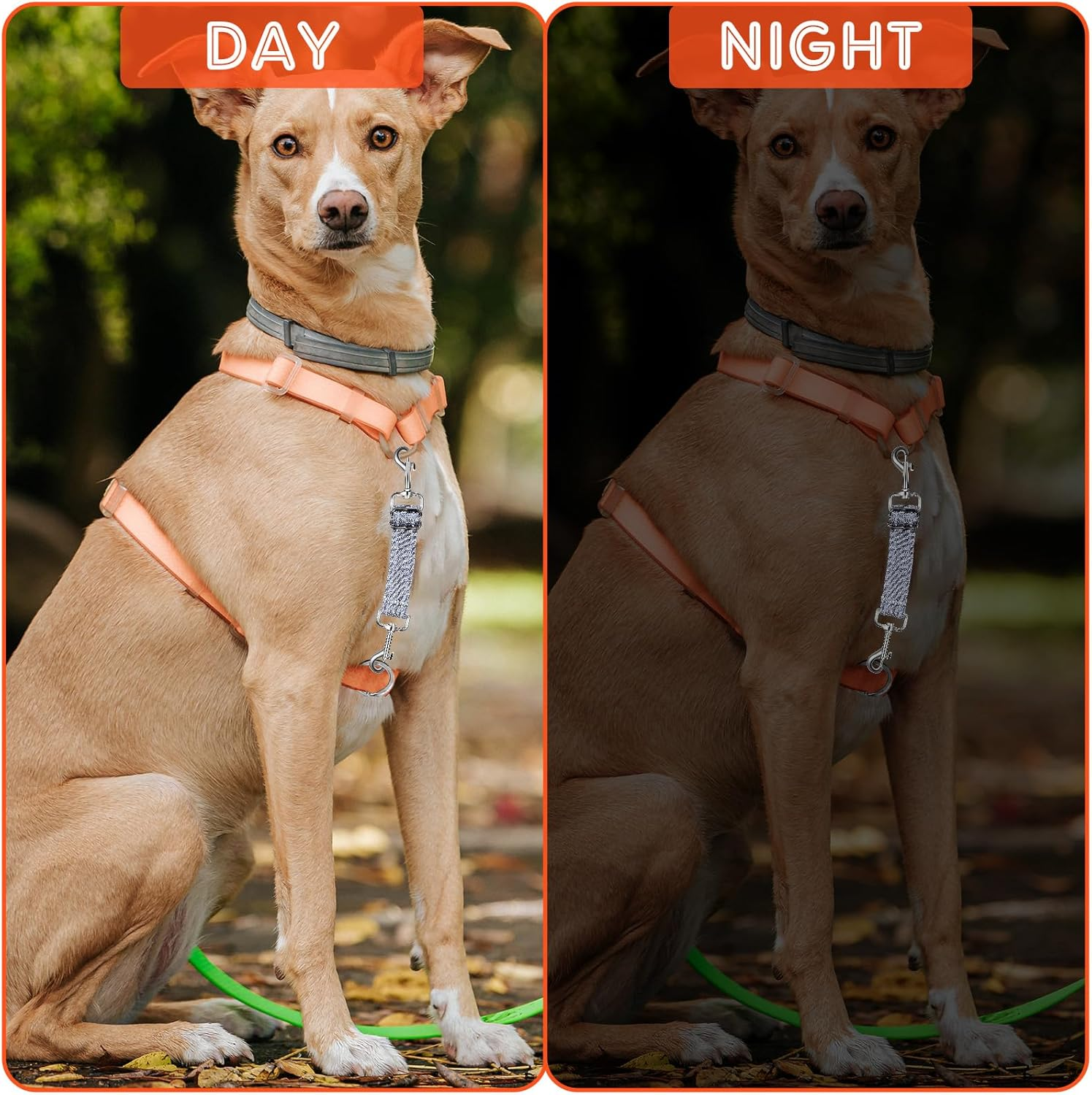 Short Lead Dog 2 Pieces Dog Lead Short Dog Collar Clips Adjustable Pet Puppy Collar Nylon Dog Safety Clasp Clip Harness Connector Double-Sided Dog Safety Clasp Clip image number 3