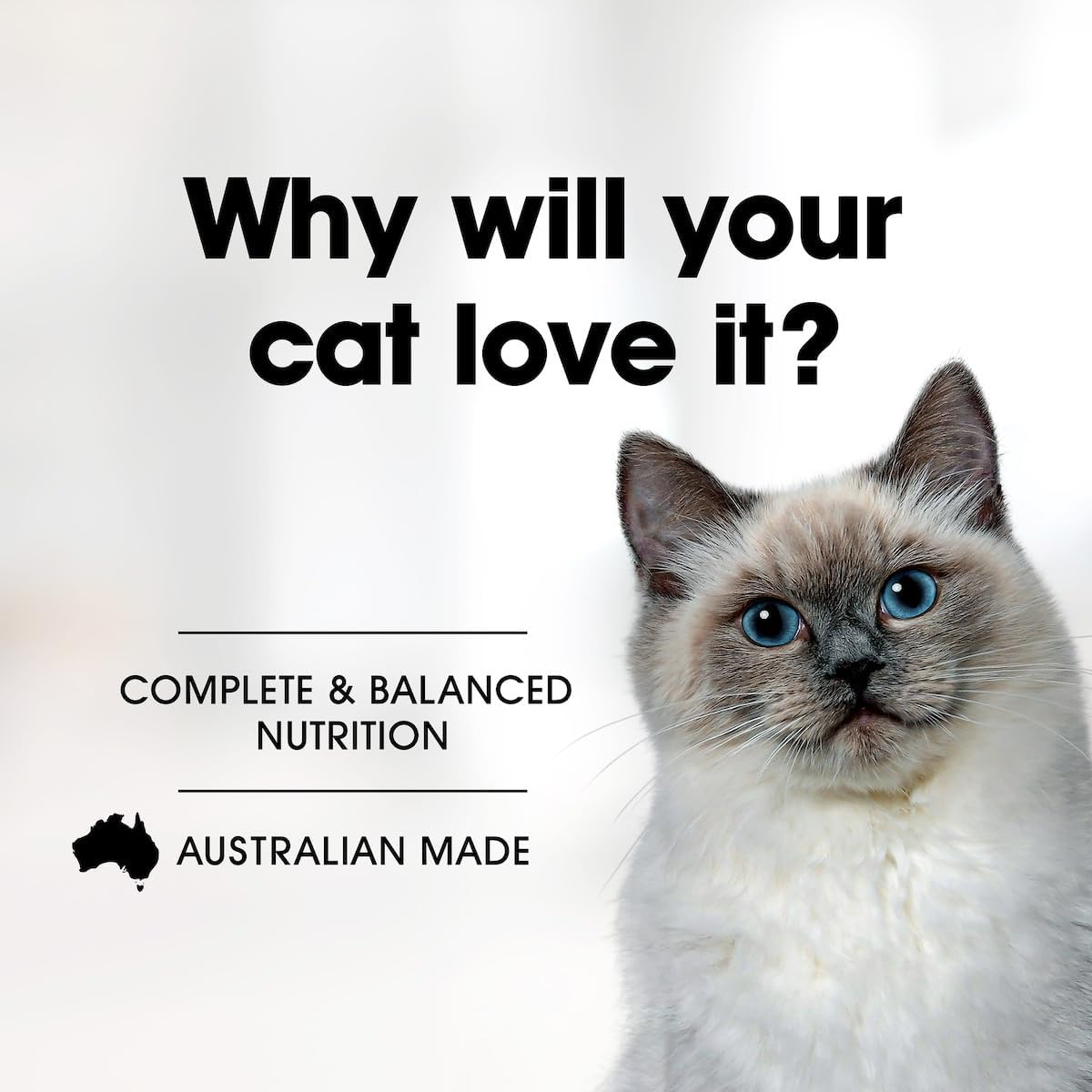 Fussy Cat Twice as Tasty Kitten Food 80 G (Pack of 12) image number 5