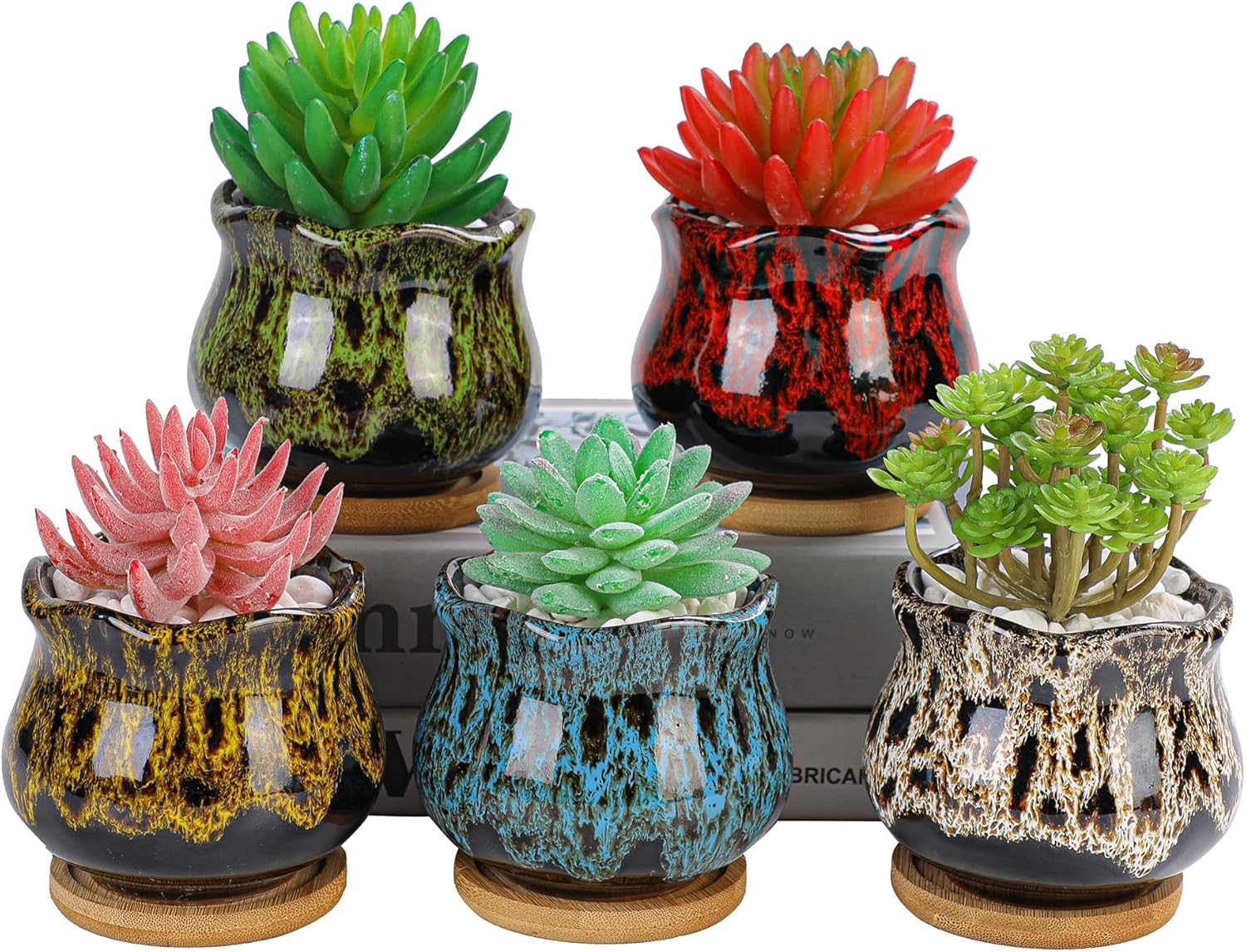 Cute Ceramic Succulent Garden Pots, Planter with Drainage and Attached Saucer, Set of 5 -Plants Not Included (Fambe) image number 3