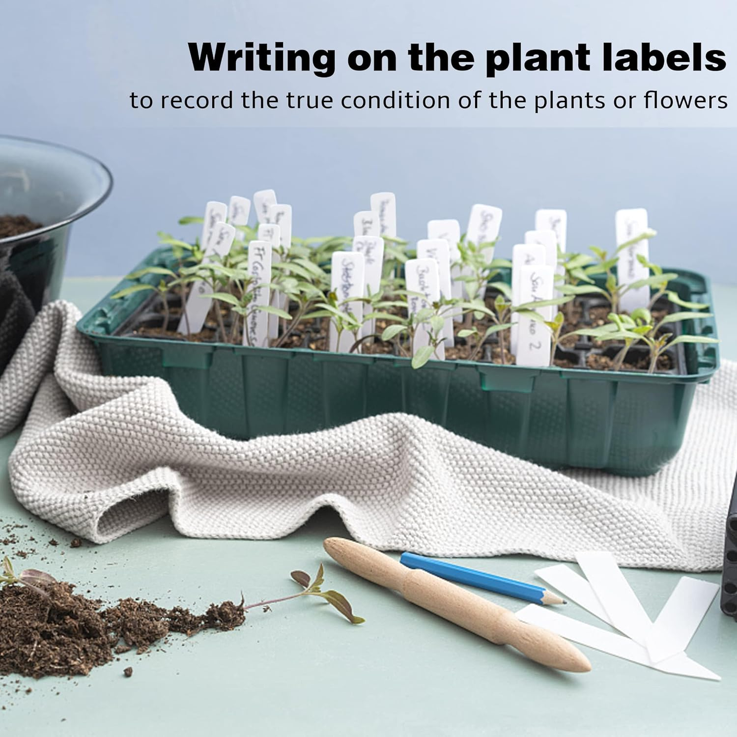 Plant Labels 4 Inch 300Pcs Plastic Plant Name Tags for Seedlings Garden Labels Markers Nursery Tags Seed Labels Label Stakes with Permanet Marking Pen Markers for Outdoor Garden (White) image number 4