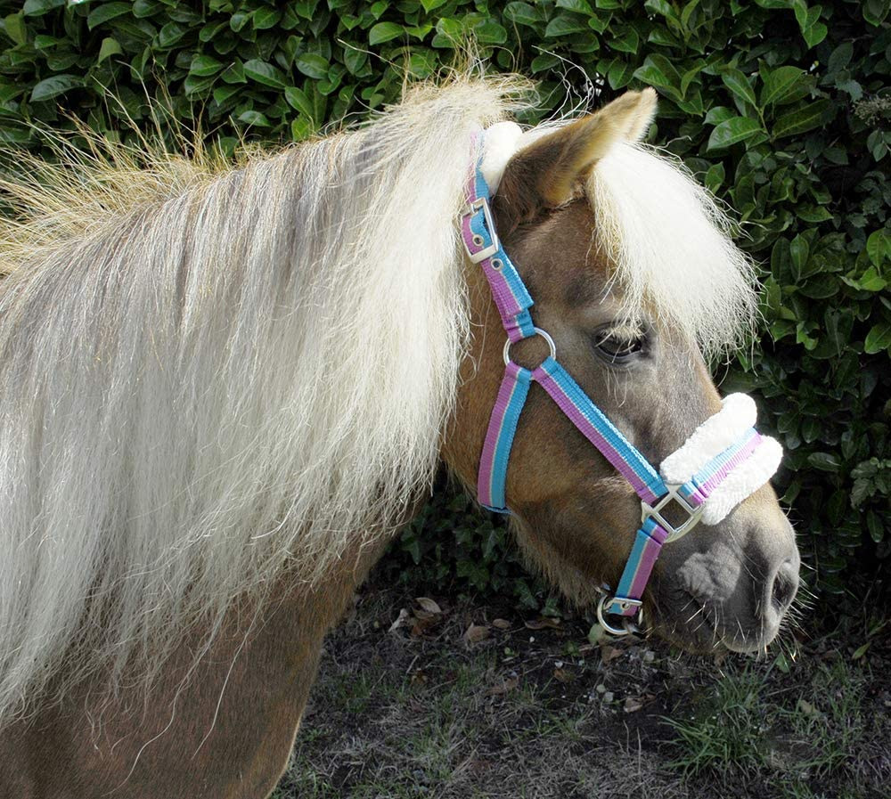 Rhinegold Bright Striped Fur Trim Small Pony Headcollar