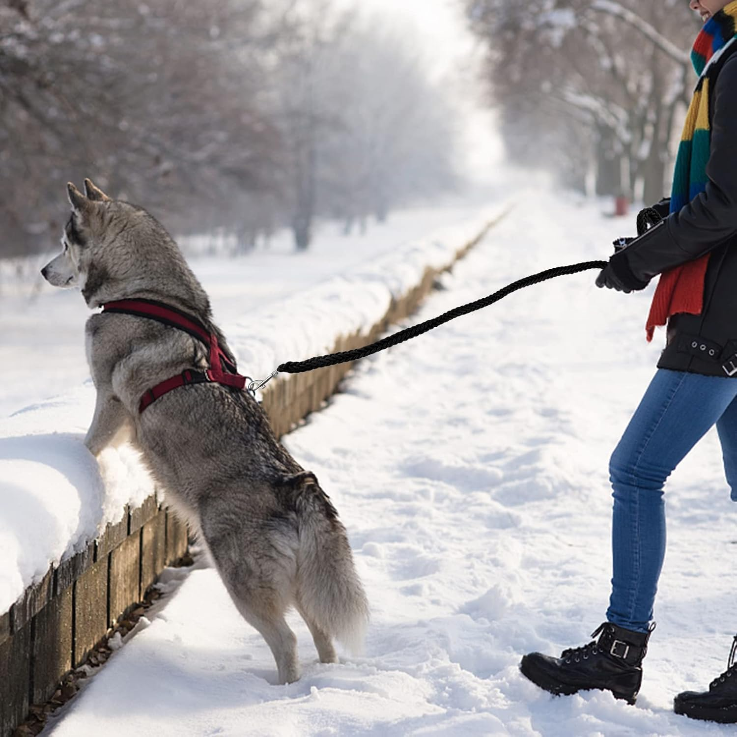 Eight Strand Braided Strong Nylon Dog Leash,1Pc Nylon Eight Strand Braided Lead Dog Leash with Rotating Buckle, Dog Lead Strong Leash Training Lead Rope