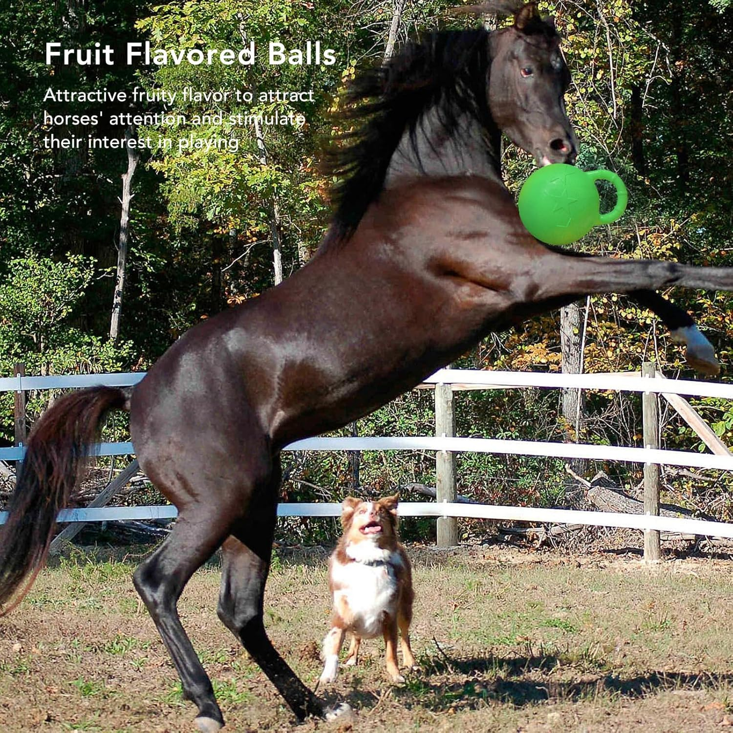Herding Ball for Horse, Rubber anti Burst Horse Ball Toy with Fruit Flavor Interactive Horse Play Ball Slow Bounce Bouncy Ball for Equestrian Training Game, Horse Soccer Ball image number 1