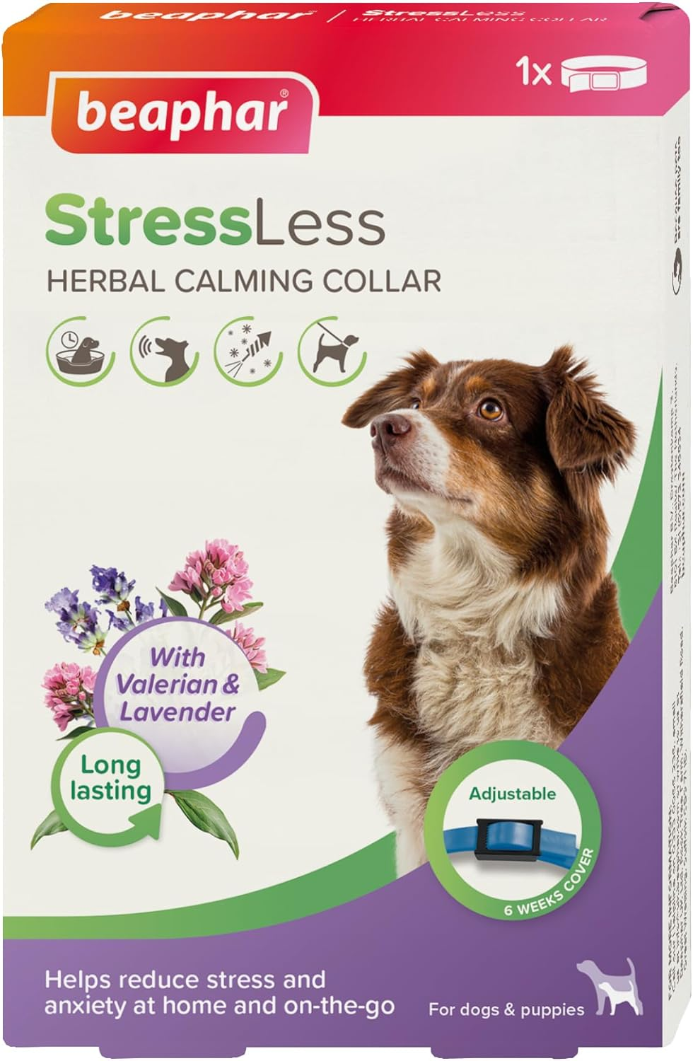 Beaphar Calming Collar for Dogs: Ideal for Stressful Situations, Reduces Problem Behaviour, Valerian & Lavender, One Size, Transparent, Large Dogs