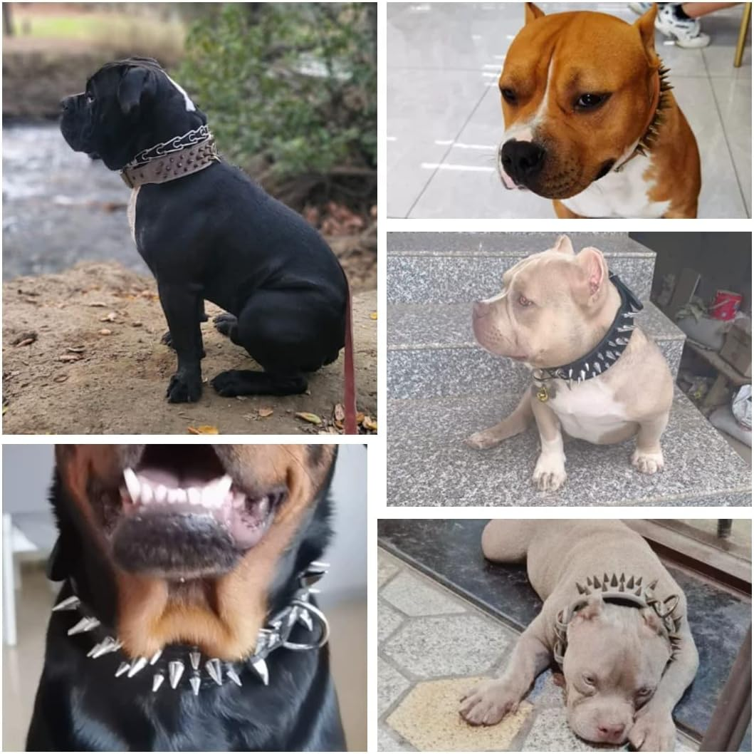 The Mighty Large Spiked Studded Dog Collar - Protect Your Dog'S Neck from Bites, Durable & Stylish, for Large Dogs (Brown L)