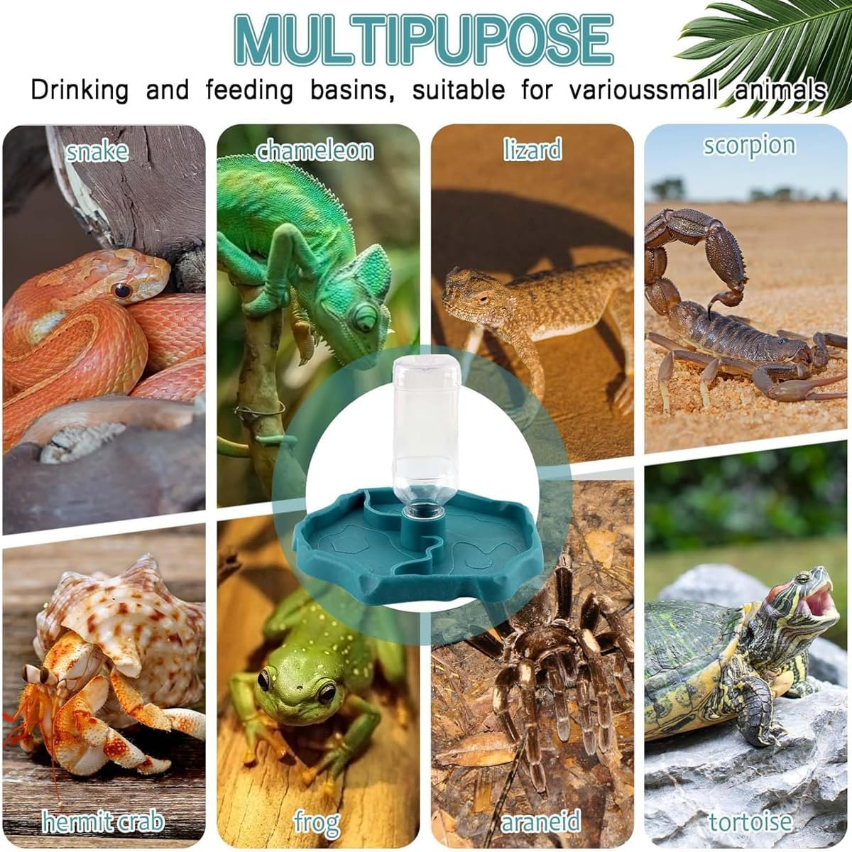 AIMALL Reptile Dual Basin for Water and Food, Turtle Automatic Drinker, Pet-Friendly Design, Safe for Lizards image number 4