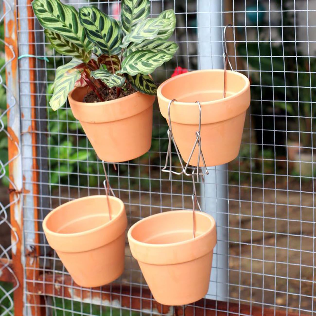 YISSEN RISEON 20 Pack Terracotta Pots Hangers, Clay Pot Hanger Hook,Iron Plant Hangers,Metal Plant Wall Hanger for Indoor and Outdoor Orchids Vertical Garden Plants image number 2