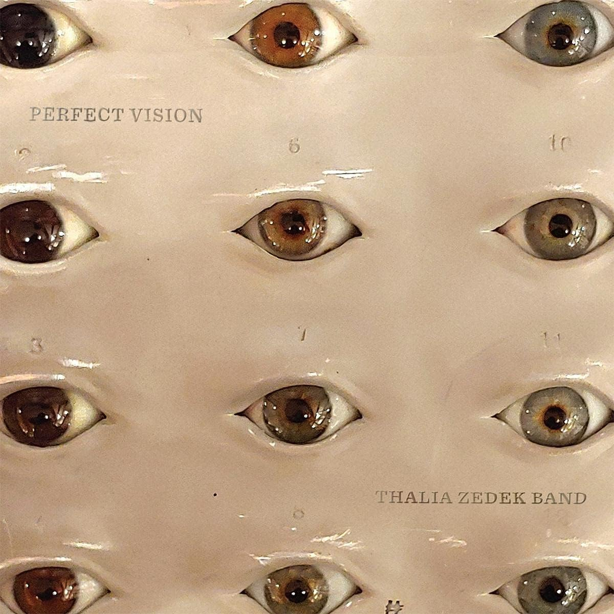 Perfect Vision (LP)