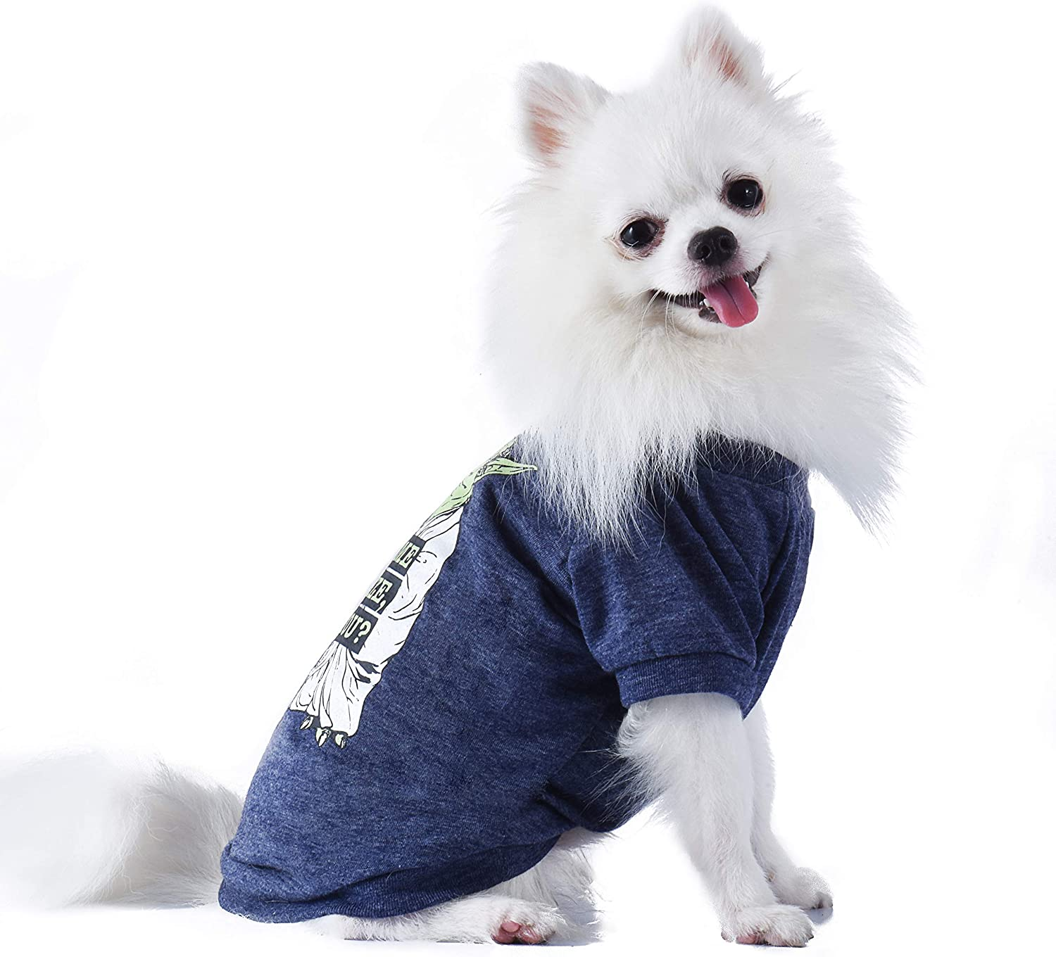 Star Wars Judge Me by My Size Dog Tee | Start Wars Dog Shirt for Small Dogs & Puppies | Small image number 5