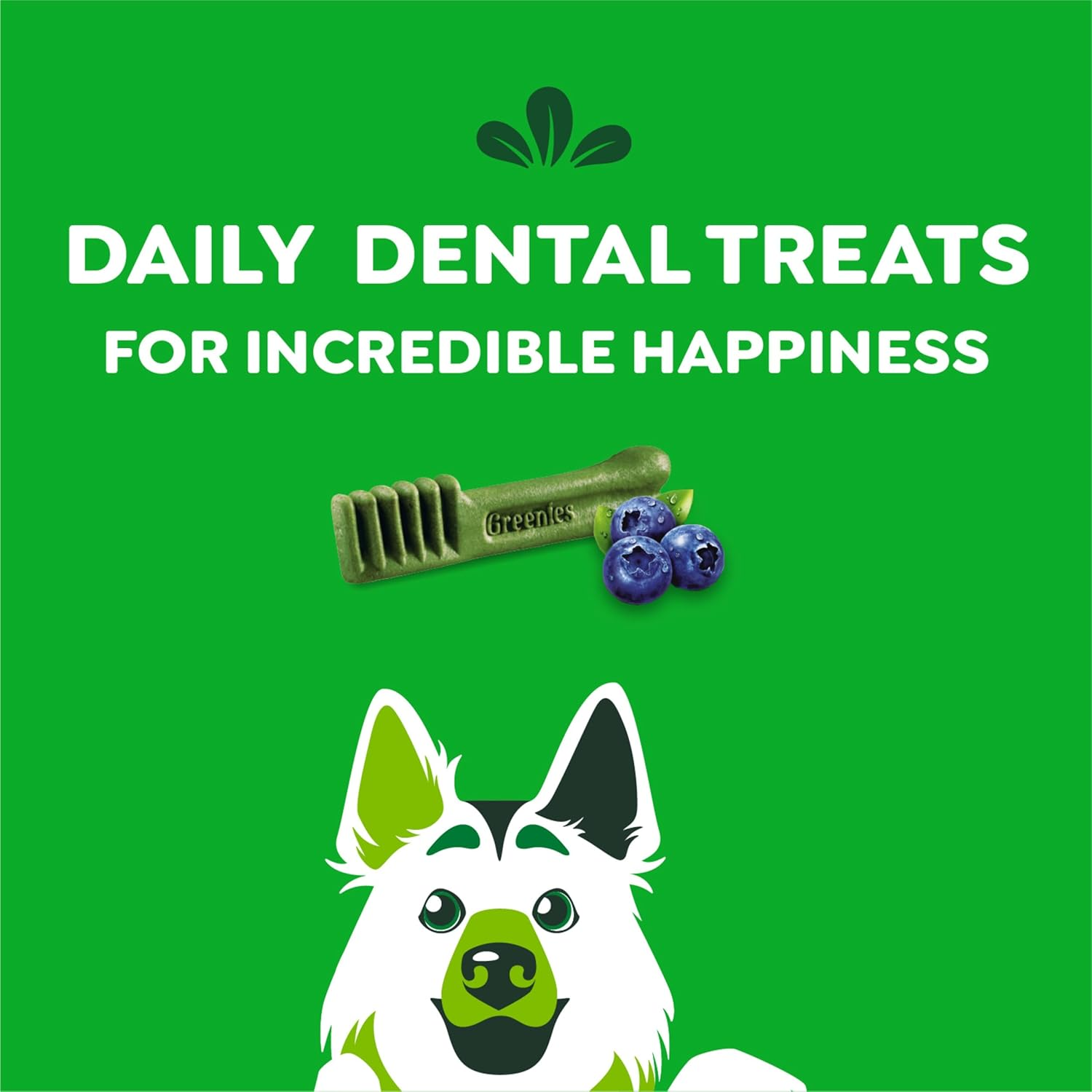 GREENIES Canine Dental Dog Treats Blueberry Large 8 Chews 340G