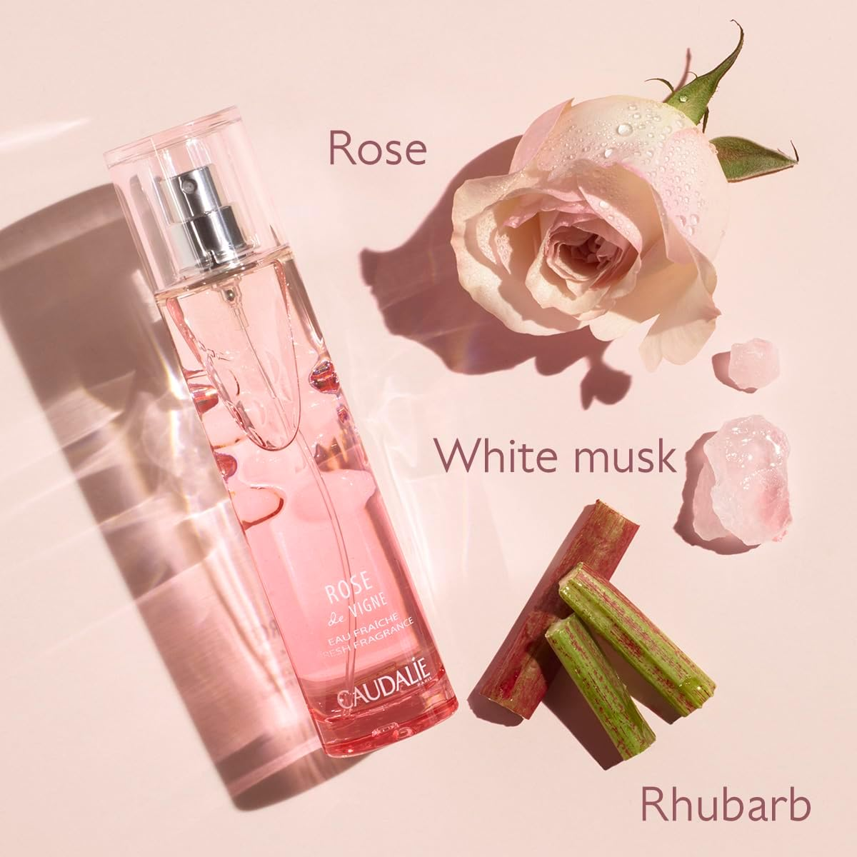 CAUDALIE Fresh Fragrance Rose De Vigne 50Ml image number 2
