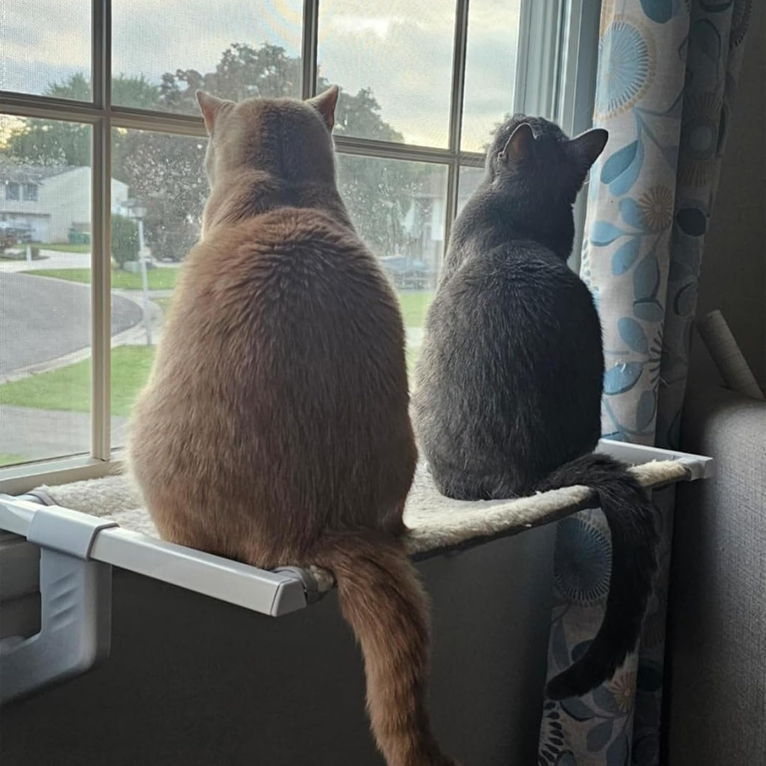 Cat Window Sill Perch Heavy Duty All Metal Frame Hold up to 100Lbs,Compact Size 22" X 13" X 7&ldquo;,Removable Dual-Sided Cushion,Adjustable Cat Hammock Bed Seat Shelf for Window Ledge for Cats Inside image number 3