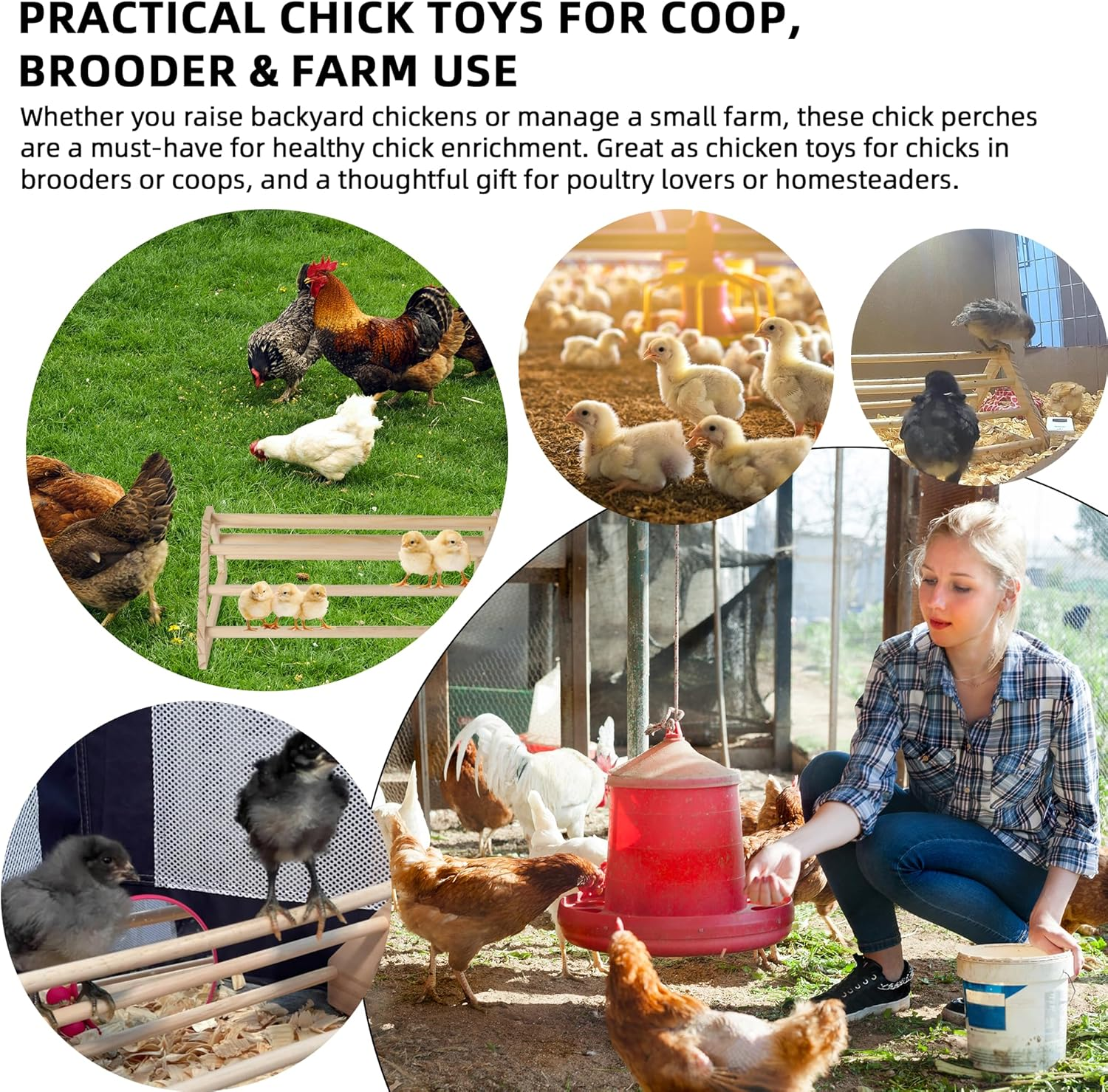 Tongass 3-Pack 15.75" Extra Long Chicken Perch, Freestanding Roosting Bar for Baby Chicks, Durable Polished Pine Roosting Bar, Perch Stand for Chicken Brooder image number 2