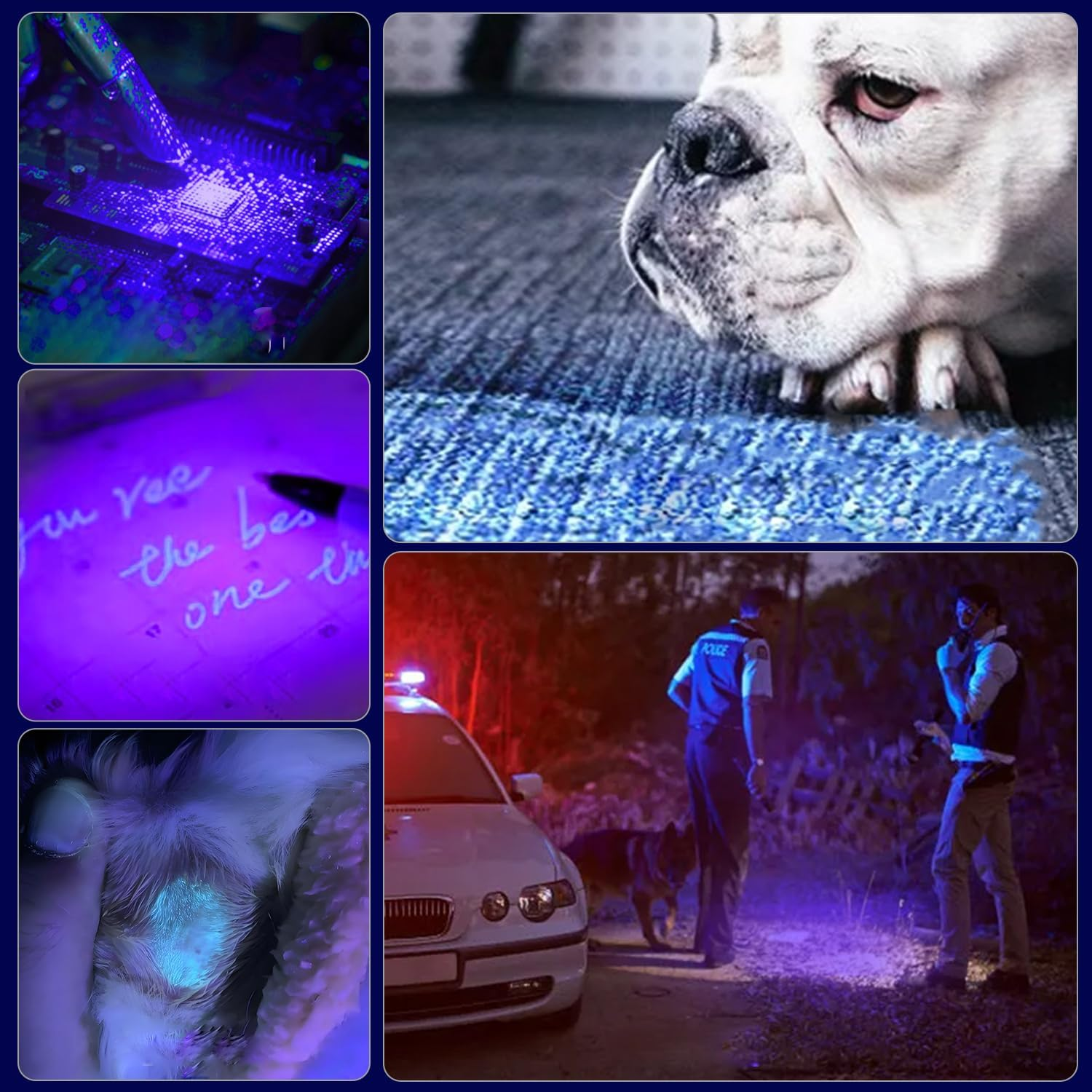 HYVCZP 2 Pack UV Blacklight Flashlights, Mini 395Nm Blacklight Flashlights, Handheld Pen Lights with Clip Detector for Leak, Pet Urine, Hotel Inspection, Dry Stain and Dye Detector, 5.2 Inch Long image number 2