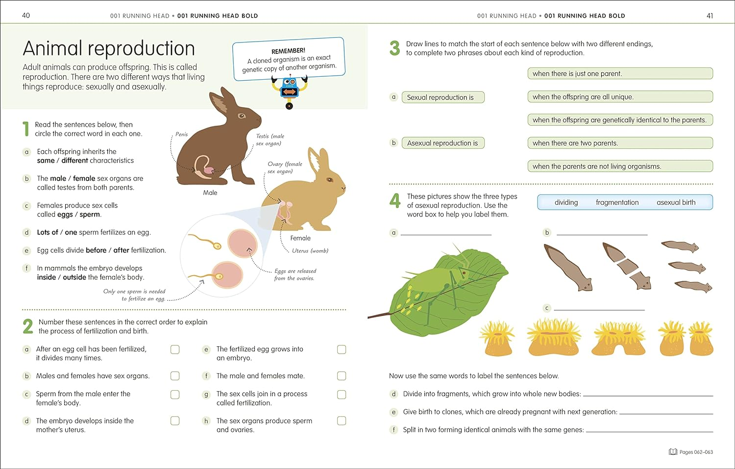 How to Be Good at Science, Technology and Engineering Workbook 1, Ages 7-11 (Key Stage 2): the Simplest-Ever Visual Workbook image number 1