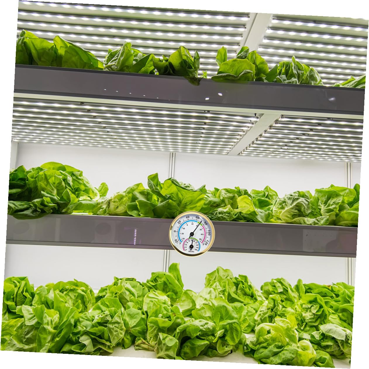 Gadpiparty Multifunctional Indoor Outdoor Thermometer Hygrometer with Hanging Design Temperature Humidity Gauge for Sauna Garden Office Bedroom Greenhouse Use image number 5