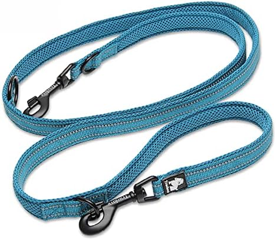WINHYEPET True Love 7 in 1 Multi-Function Adjustable Dog Lead Hand Free Pet Training Leash Nylon Reflective Comfortable Multi-Purpose Dog Leash Tll2411(Blue,L) image number 1