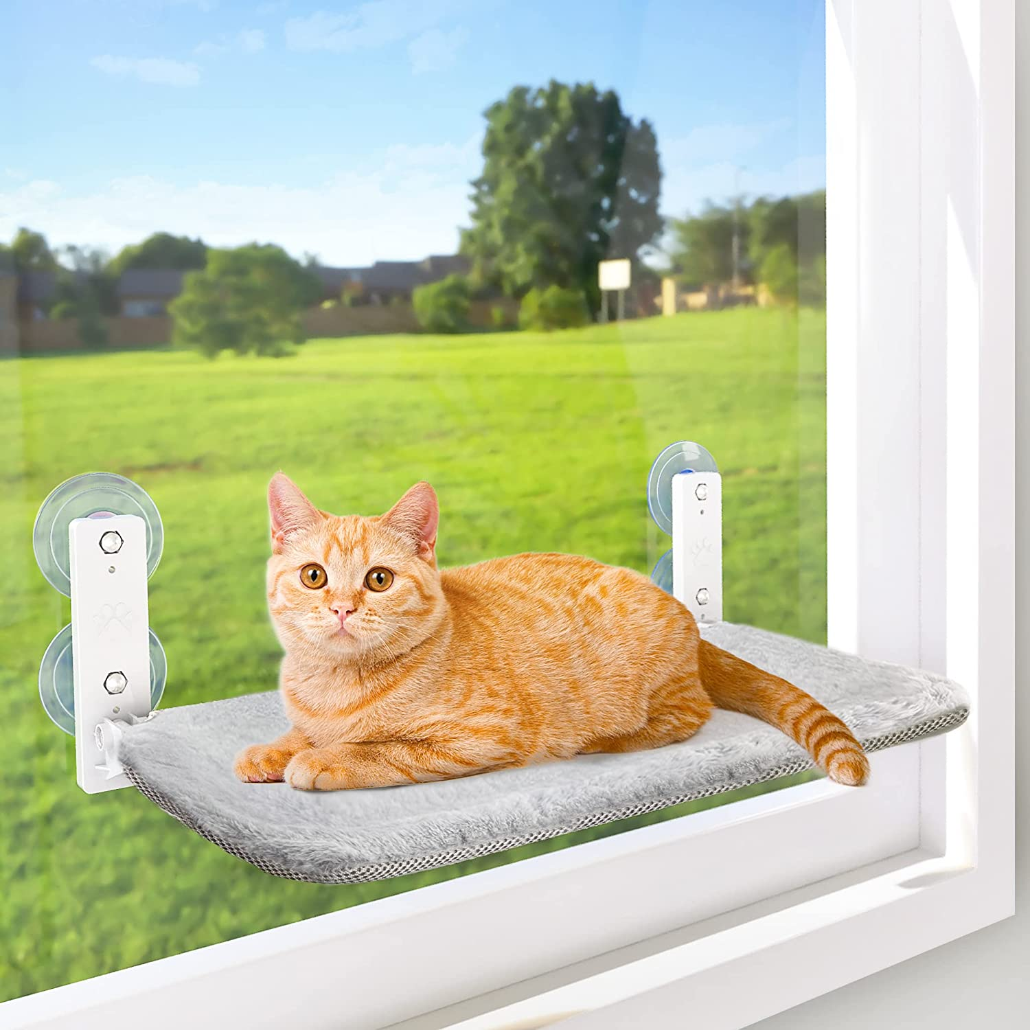 AMOSIJOY Cordless Cat Window Perch, Cat Hammock for Wall with 4 Suction Cups, Anchor&Screw for Two Ways of Installation, Solid Metal Frame and Reversible Cover, Foldable Cat Beds for Indoor Cats image number 2