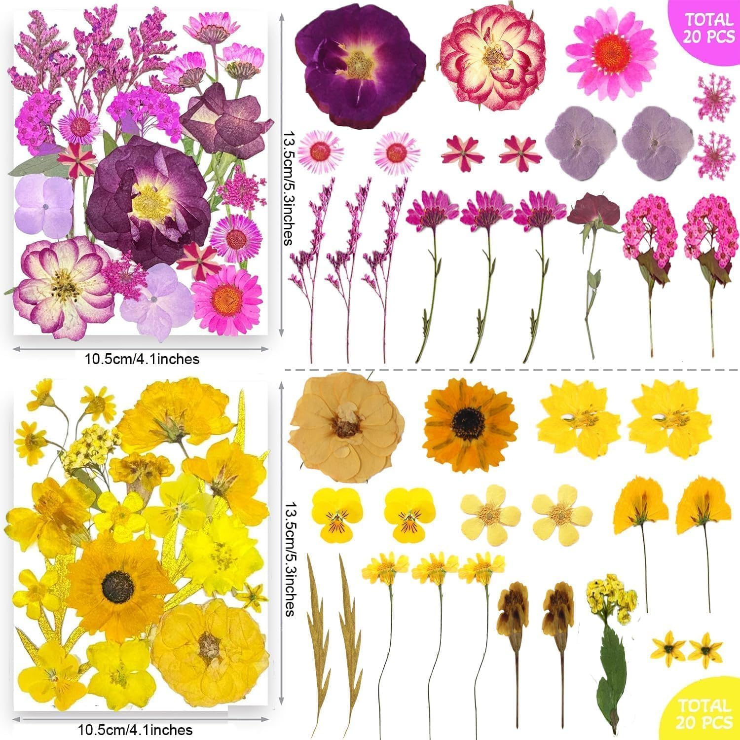 200Pcs Dried Pressed Flowers Leaves for Crafts, Real Natural Dry Pressed Flowers for Resin Molds Nails Art Candle Making Phone Cases DIY Art Crafts image number 5