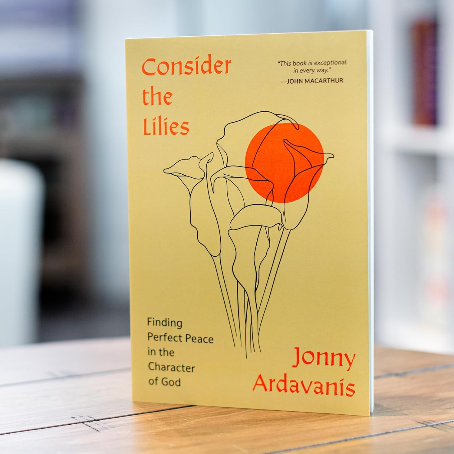 Consider the Lilies: Finding Perfect Peace in the Character of God image number 6