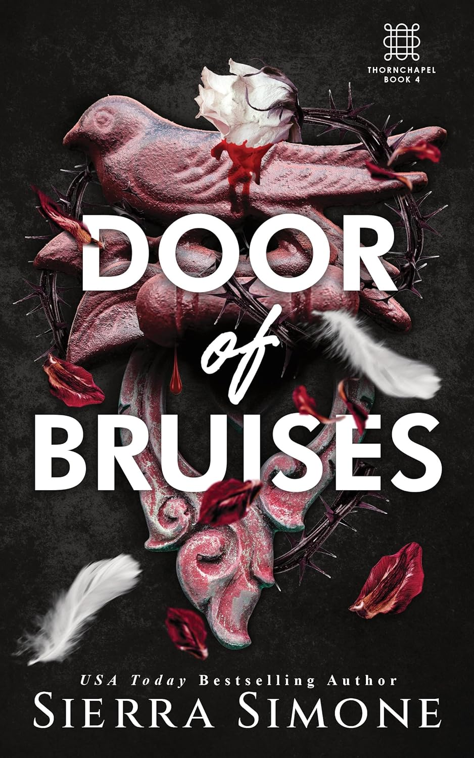 Door of Bruises: a Spicy Enemies to Lovers Dark Academia Romance (Thornchapel Book 4)