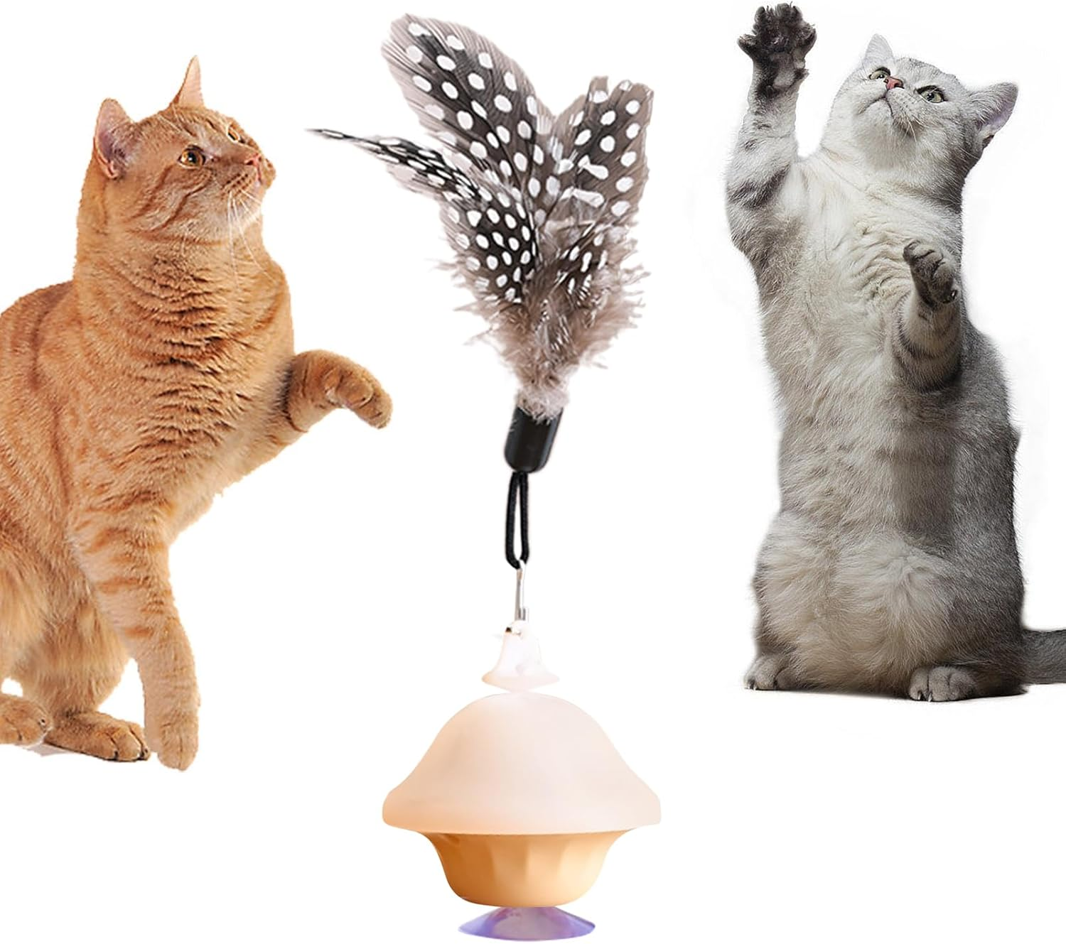 Cat Retracting Toy,Chew-Resistant Companion | Retractable Bored Cat Toy | for Small Medium Large Breeds Living Room Bedroom Study Room Balcony