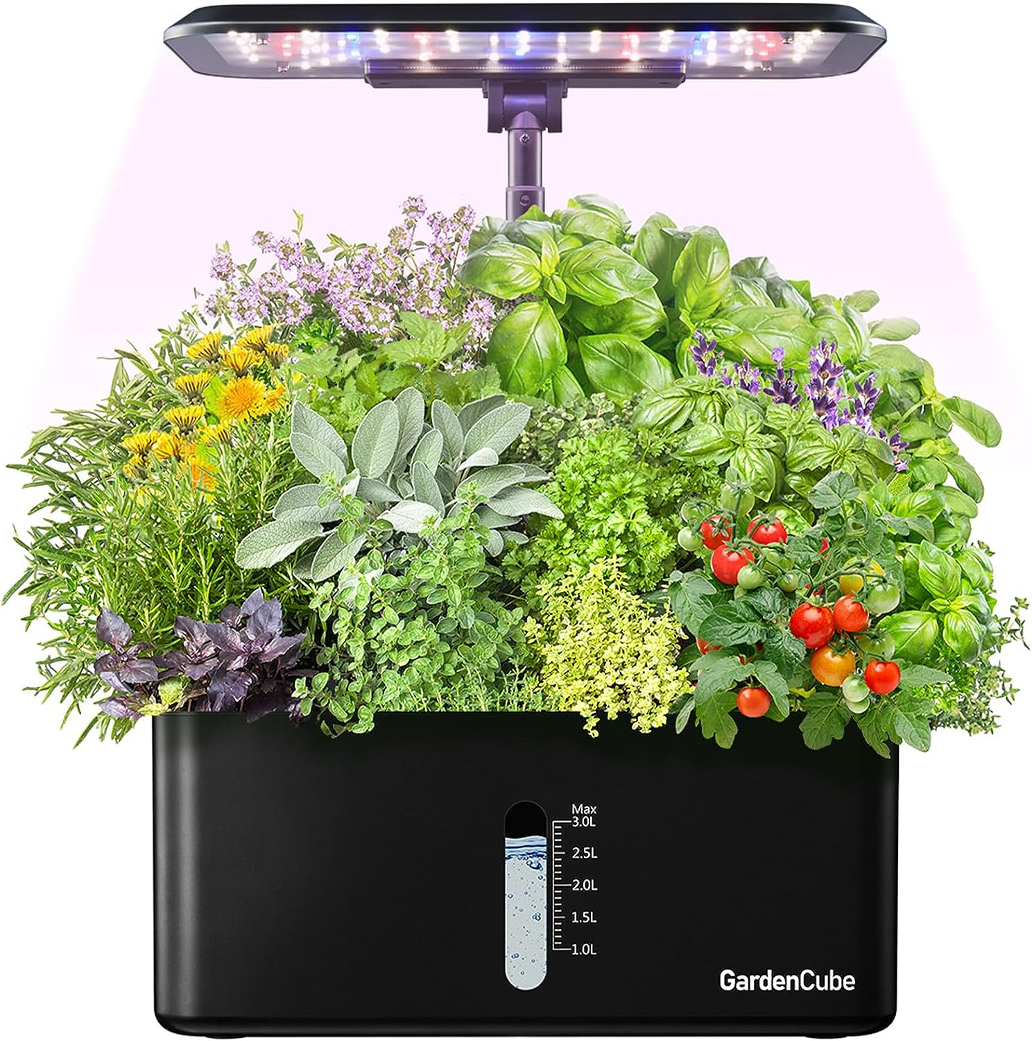 Hydroponics Growing System Indoor Garden: Herb Garden Kit Indoor with LED Grow Light Quiet Smart Water Pump Automatic Timer Healthy Fresh Herbs Vegetables - Hydroponic Planter for Home Kitchen Office image number 4