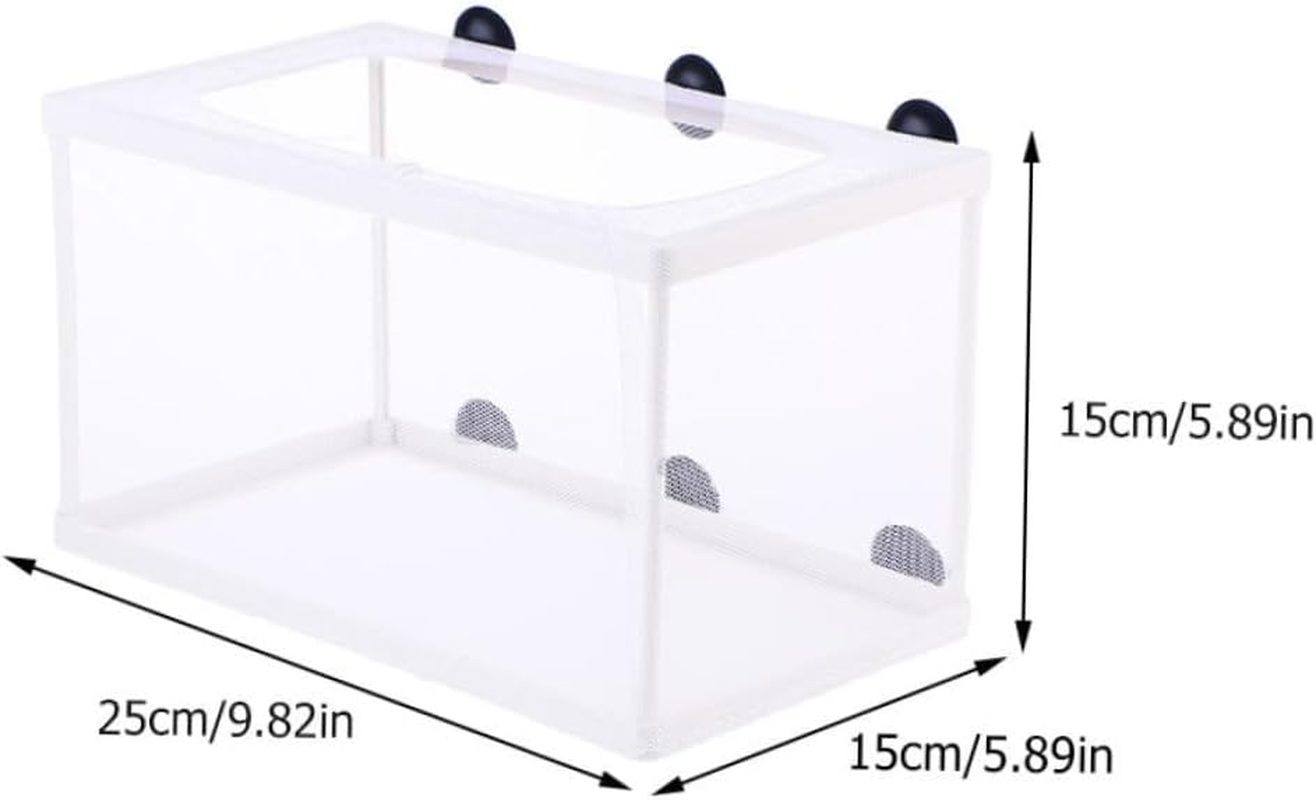 Gadpiparty 3Pcs Small Fish Hatch Isolation Boxes Mesh Fish Breeding Tank Aquarium Separation Net Suction Cup for Fry Hatchery Juvenile Separation image number 1