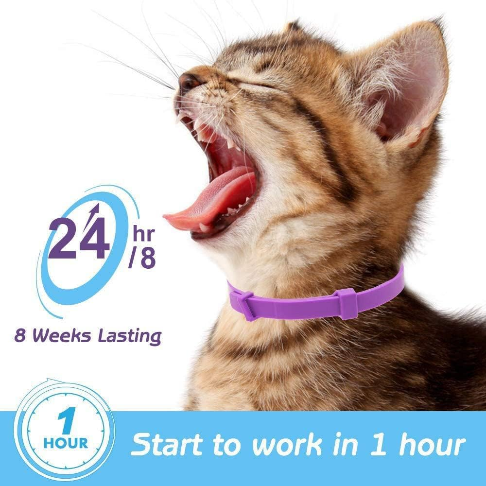 6 Pack Calming Collar for Dogs and Cats, Adjustable Cats and Dogs Anxiety Collar for Stress Reliever Relaxing Comfortable, Natural Safe Waterproof, Lasting Calming Effect Cat and Dog Anxiety Relief image number 3