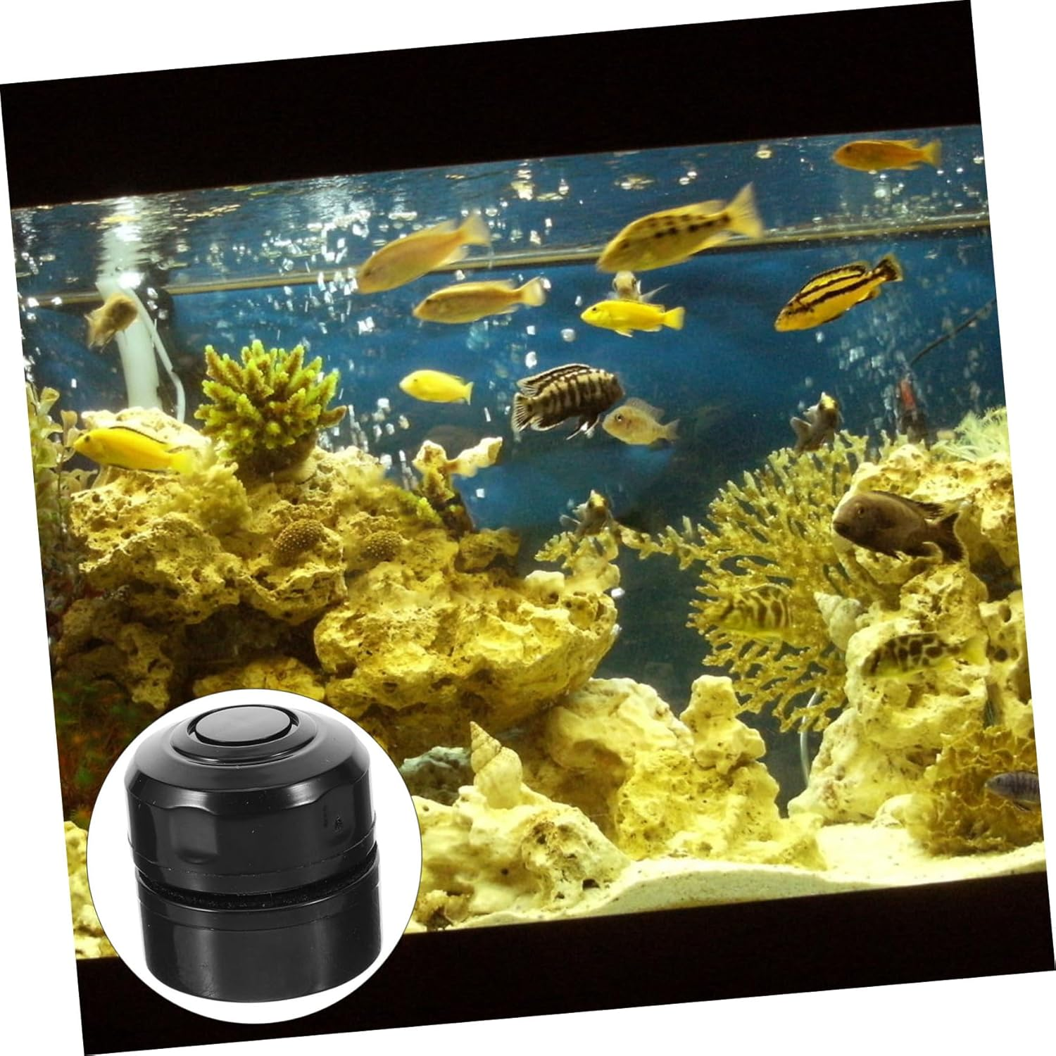 Yardwe 1Set Aquarium Magnetic Cleaning Brush Fish Tank Tool for Easy Algae Removal Scratch Design for Maintaining Healthy Aquatic Environments image number 4