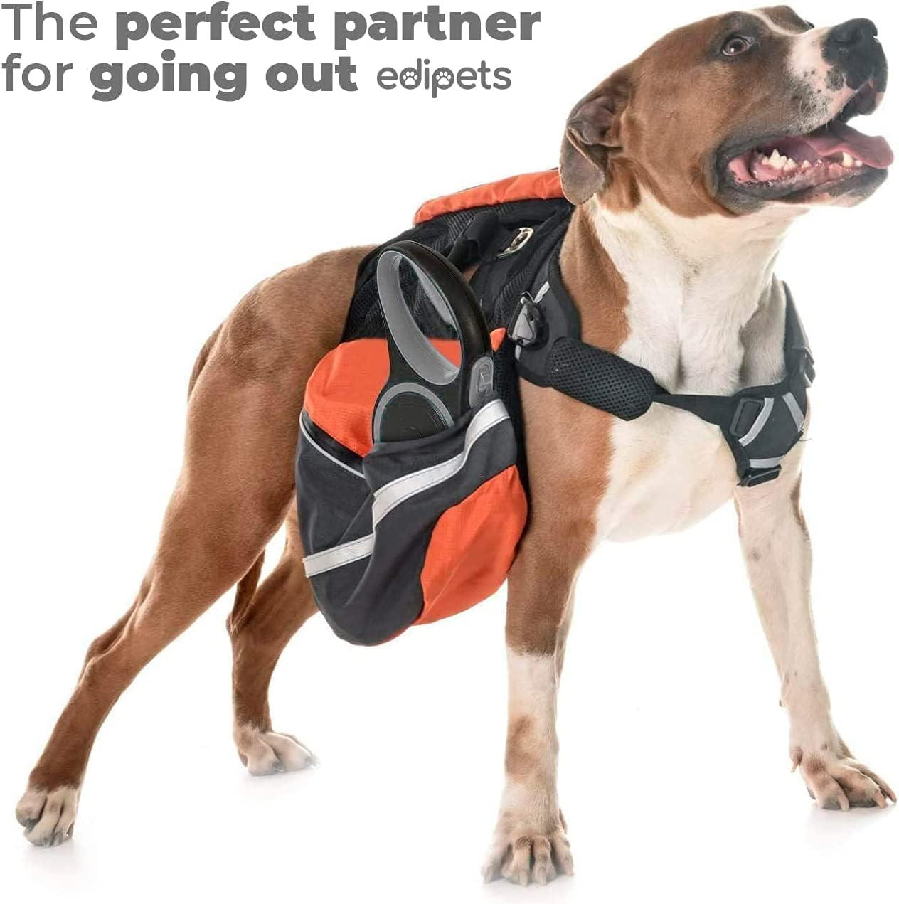 Edipets, Extendable Retractable Dog Lead, 3, 5 and 8 Metres, Flexible Band for Right and Walking, Dog Leash, Reel Leash, Flexible Lead, Retractable (Grey, 8 Metres) image number 3