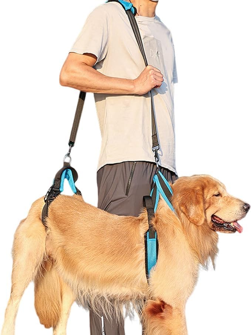 Pet Dog Carry Sling Pet Legs Support Rehabilitation Lift Harness for Disabled Injured Elderly Dog Joint Injuries Arthritis Blue (S) image number 6