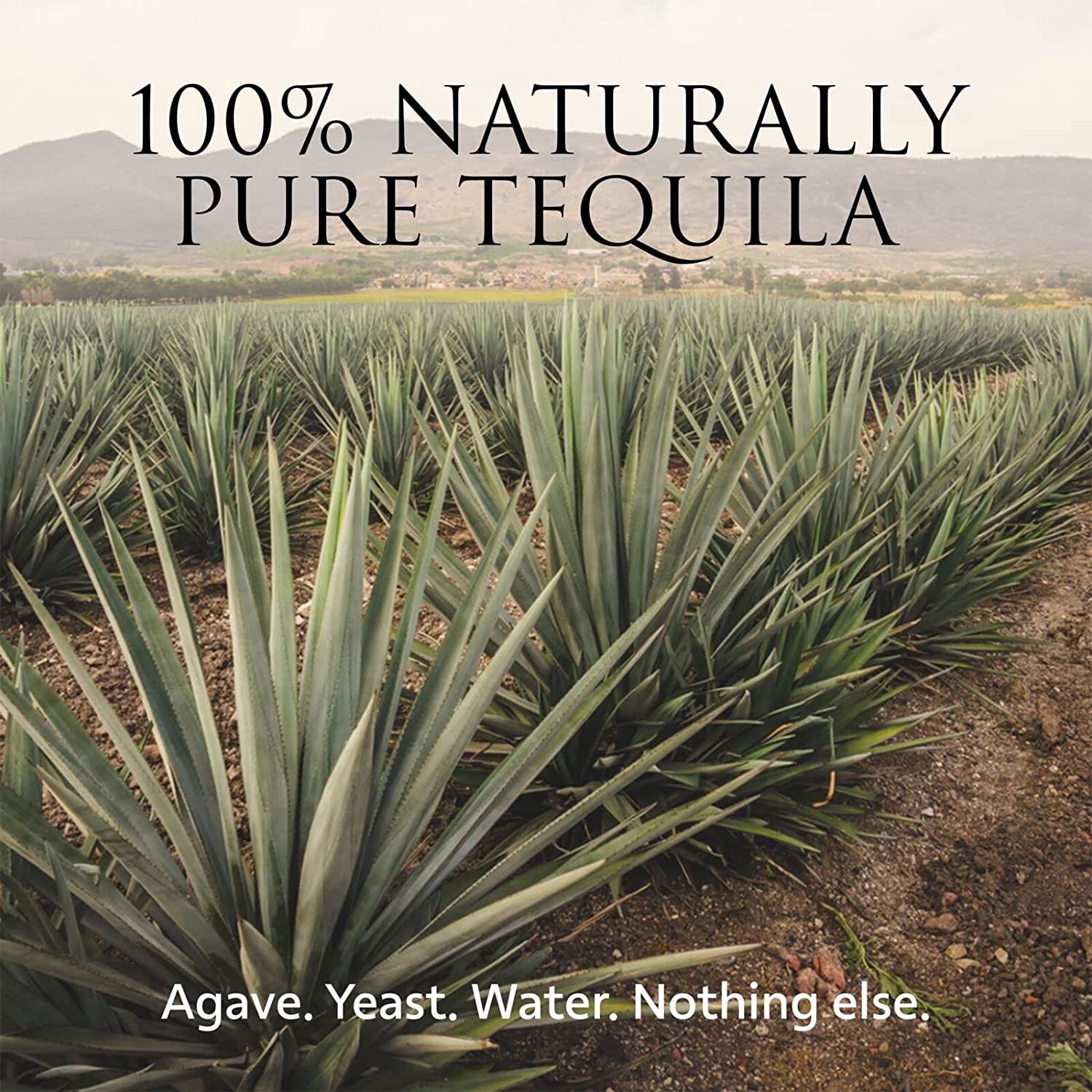 PATR&Oacute;N Silver Premium Tequila with Gift Box, 40% ABV, 70Cl / 700Ml, Made from the Finest 100% Weber Blue Agave, Handcrafted in Small Batches in Mexico image number 2