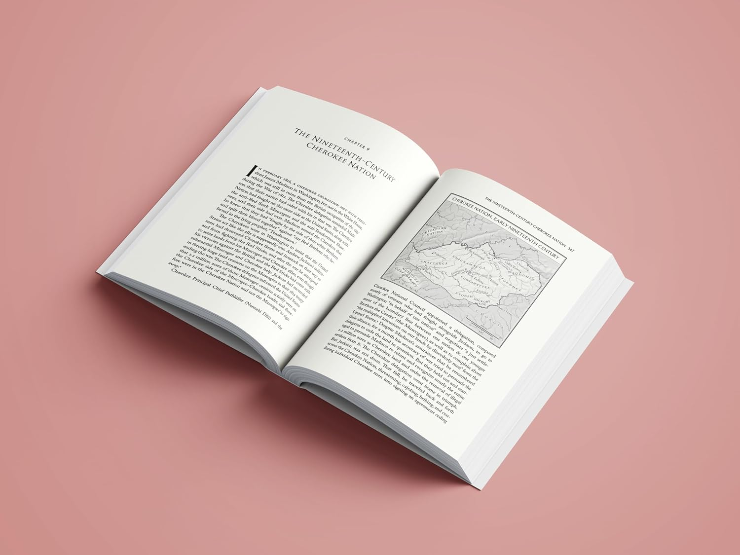 Native Nations: a Millennium in North America: Winner of the 2025 Pulitzer Prize for History image number 4