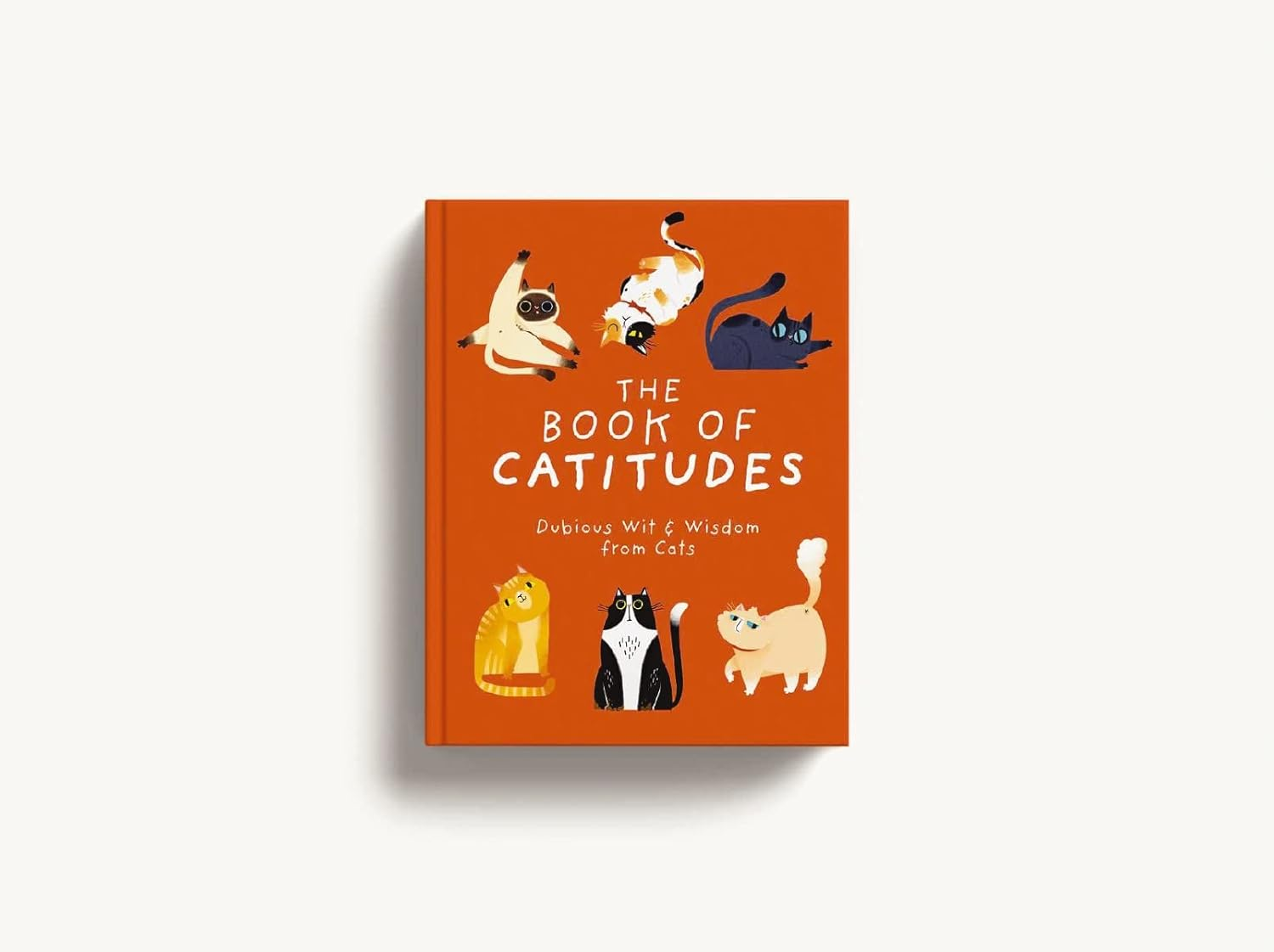 Book of Catitudes: Dubious Wit & Wisdom from Cats image number 2