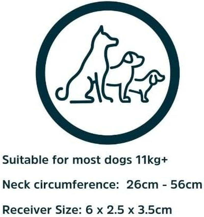 HW900 Waterproof Outdoor Dog Training Collar for Medium to Large Dogs with Remote, Beep Tone, Vibration, and Bark Control (1 Collar) image number 2