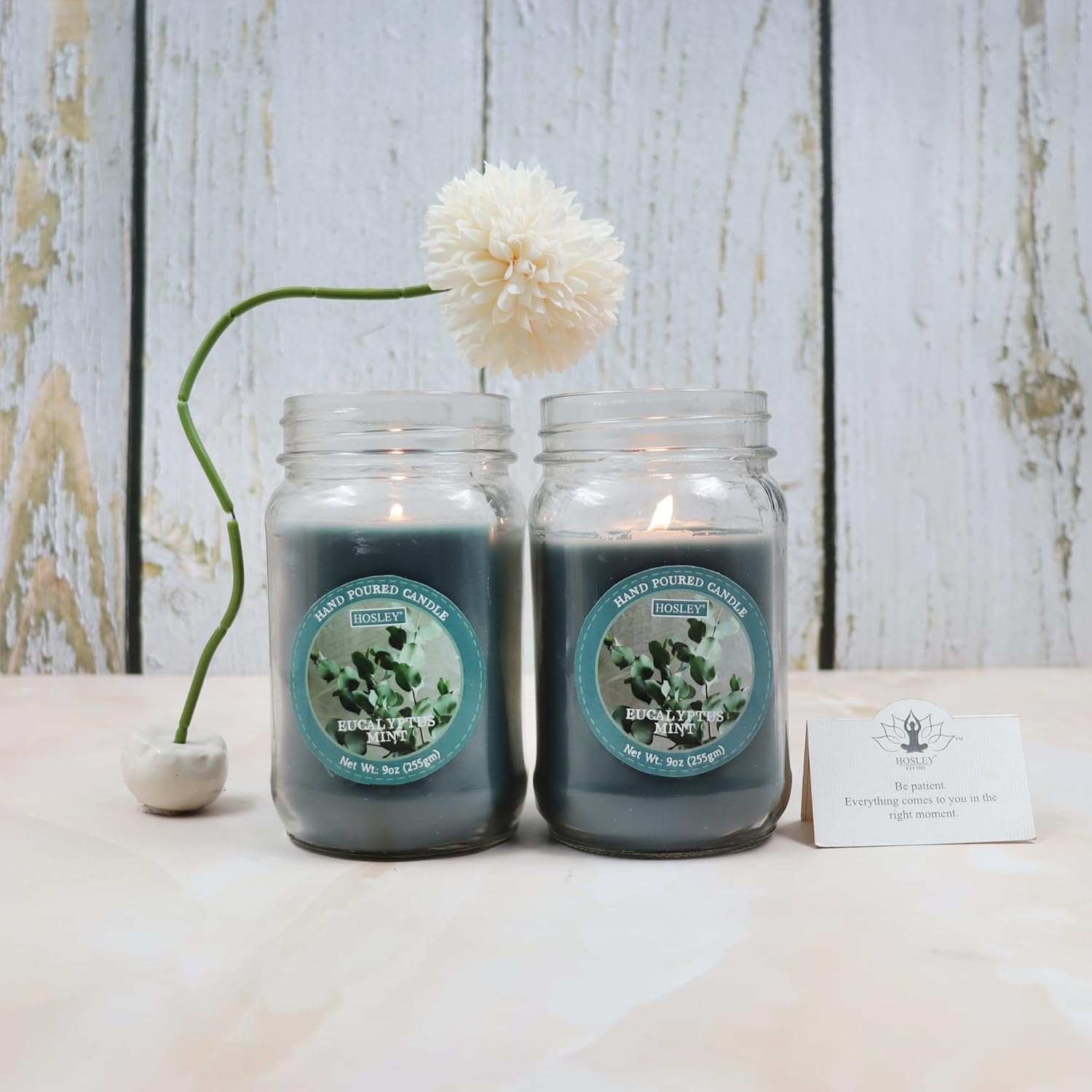 Hosley&reg; 9Oz Eucalyptus Mint Scented Classic Clear Fragrance Jar Candle Large Jar Single Wick Candle, over 55 Hours of Burn Time (Pack of 2) image number 4