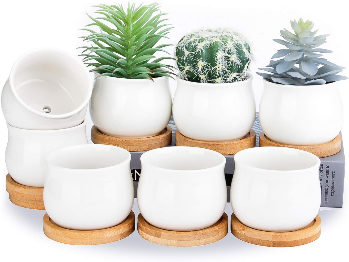 SHECIPIN Succulent Plant Pot, White Mini 2.6 Inch Ceramic Flower Planter Pot with Bamboo Tray, Pack of 8 - Plants Not Included - Black,White image number 5
