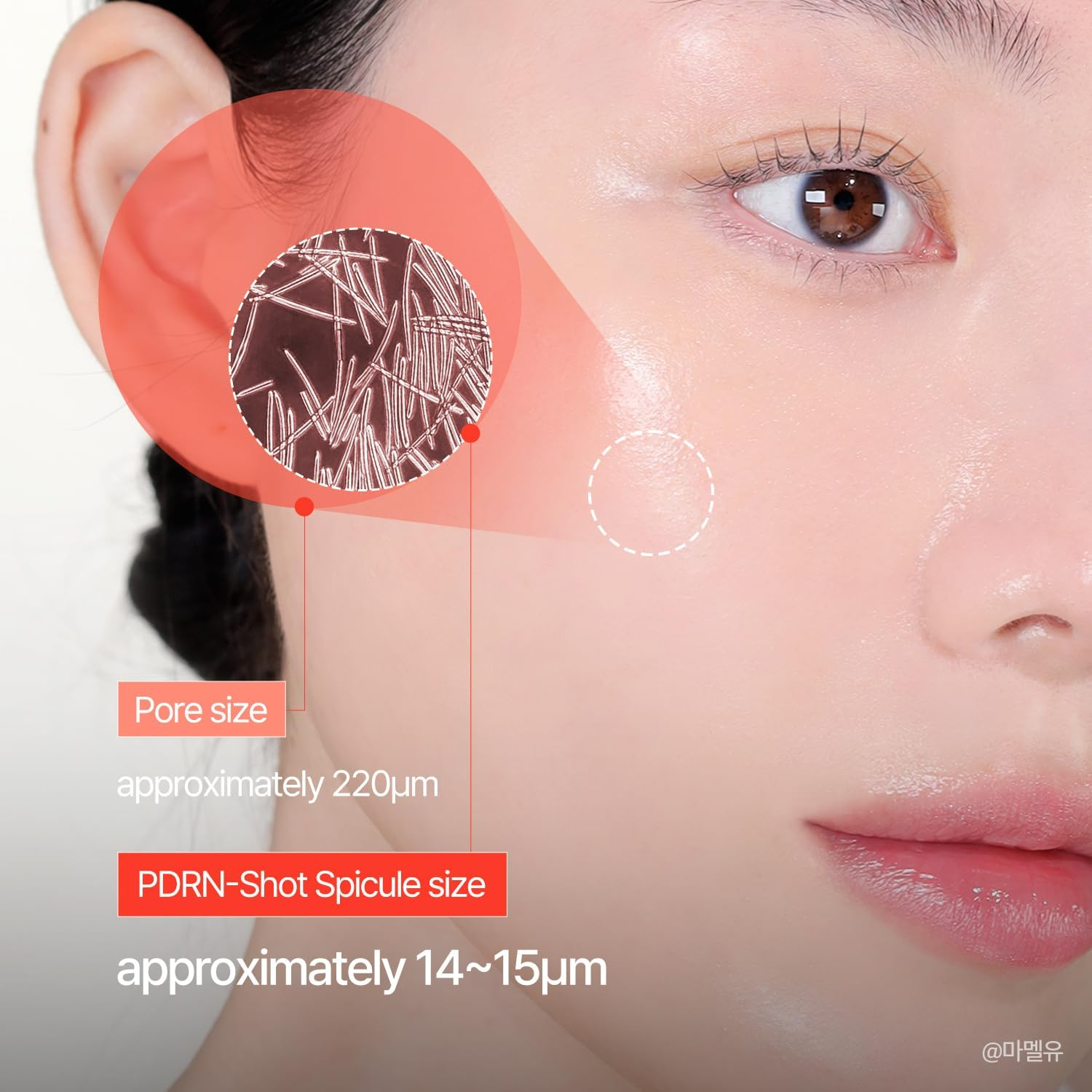 COSNORI Pdrn-Shot 675 - Korea Facial Serum with 675,000 High Purity Spicules - Turnover K-Beauty Face Serum with High Nutrition Salmon DNA PDRN - Intensive Facial First Essence (50Ml / 1.69 Fl. Oz.) image number 5