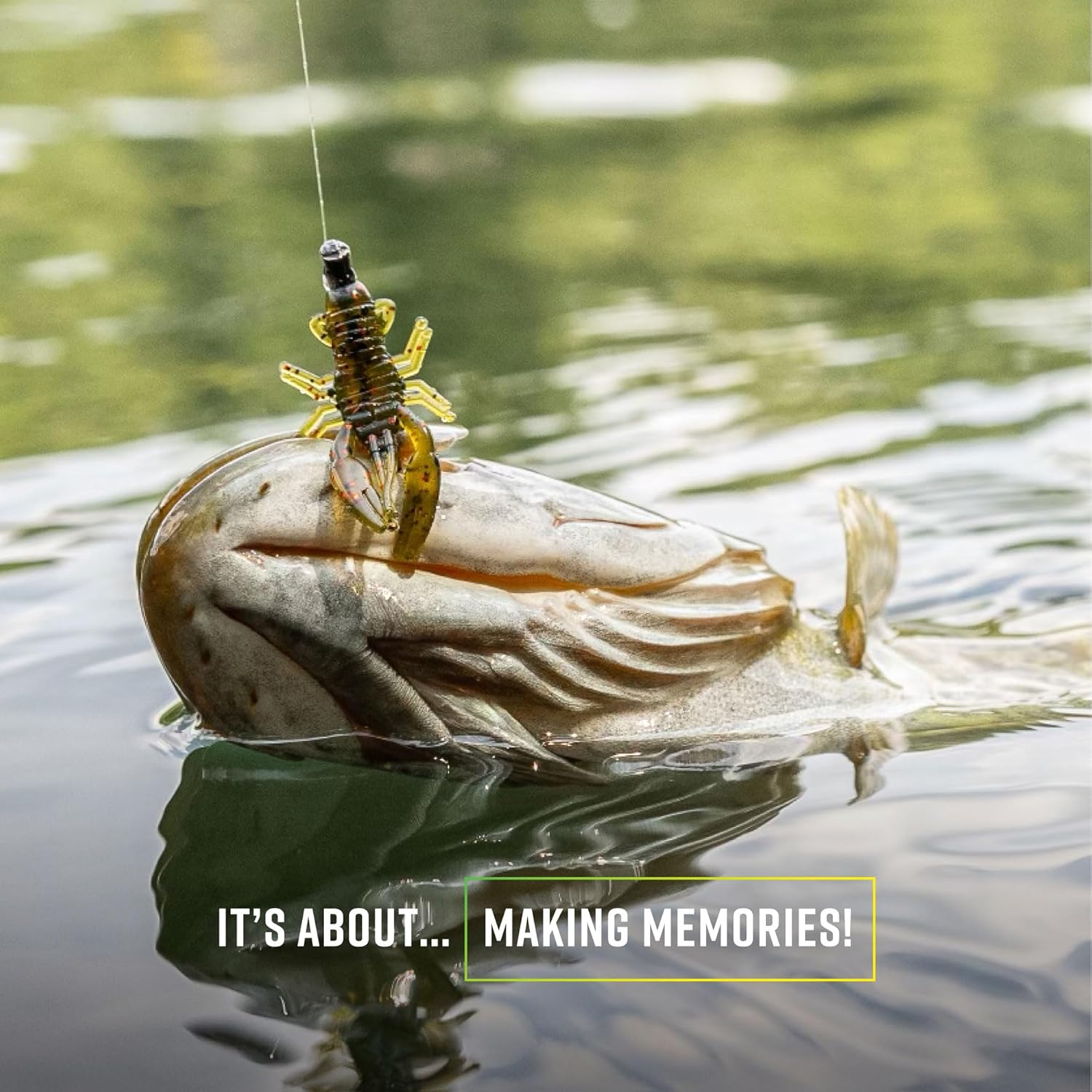 Trout Magnet Trout Slayer Kit - 20 Crawdad Bodies and 8 Size 6 Long Shank Hooks image number 1