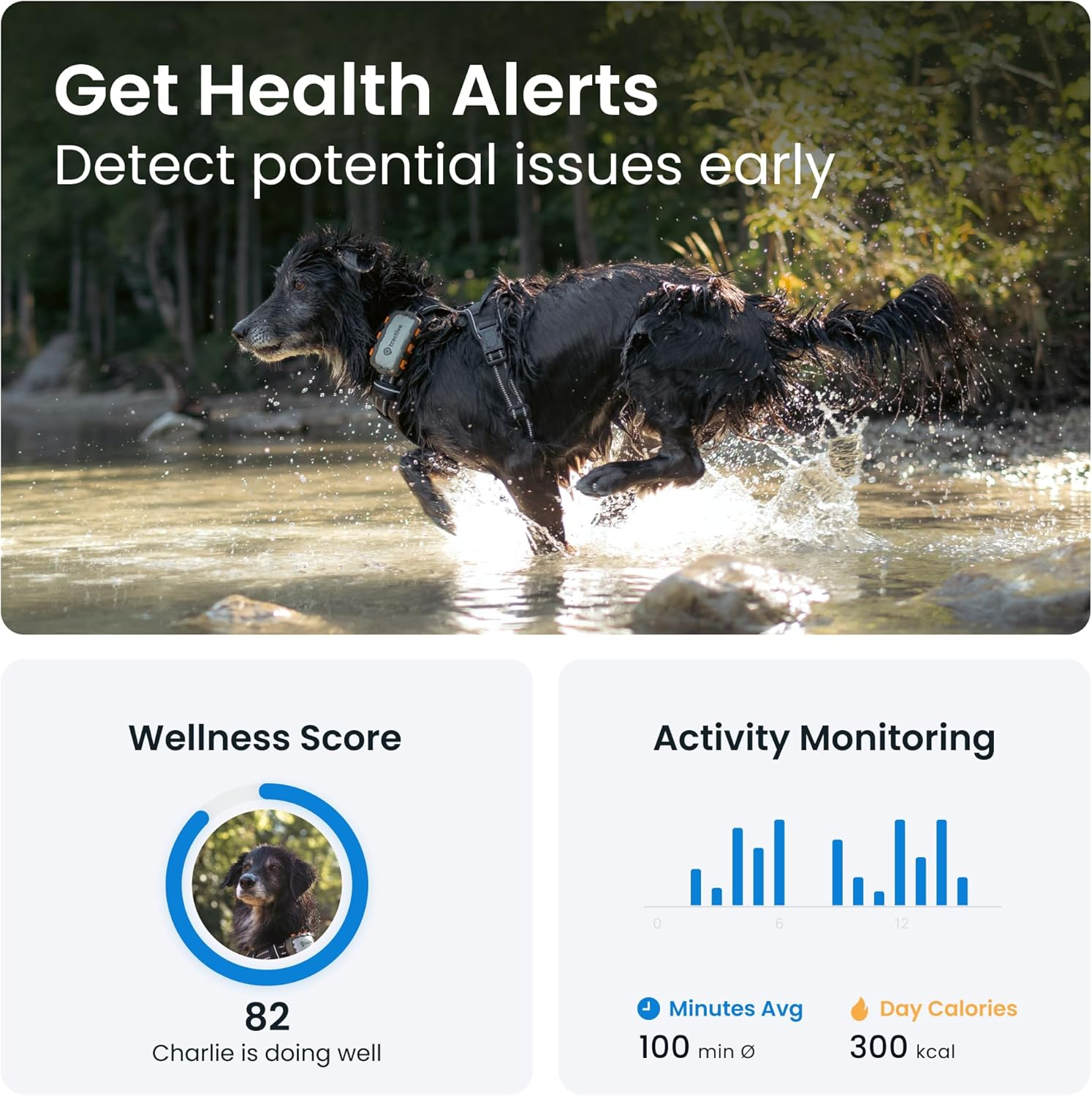 Tractive Smart Dog Tracker XL Adventure | 1 Month Battery | Real-Time GPS Tracking | Escape & Health Alerts | Vitals Monitoring | Market Leader image number 3